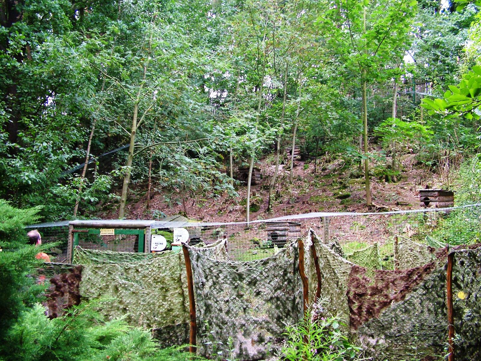 Raccoon/Coypu Exhibit at Decin, 28/08/12
