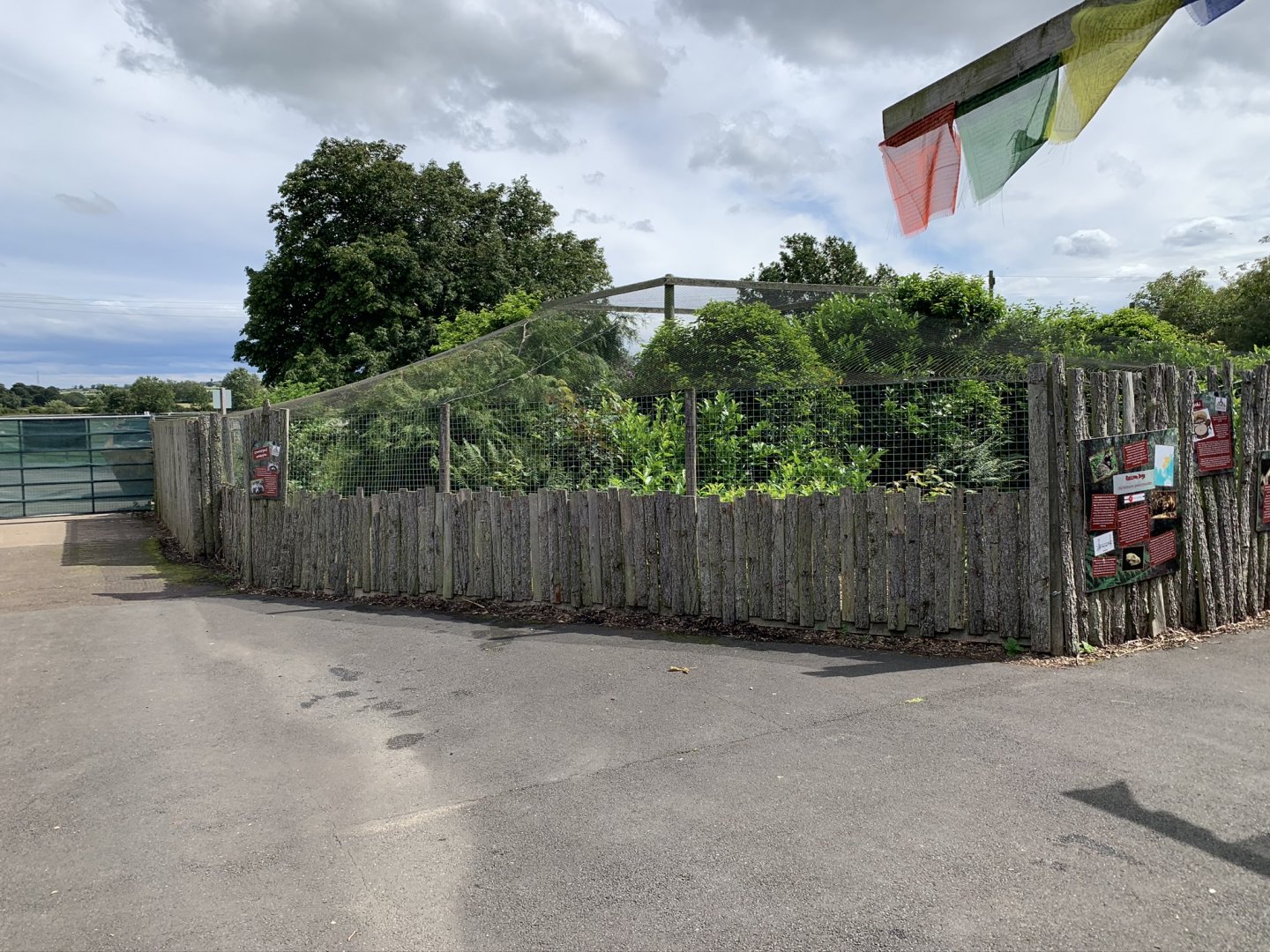 Raccoon Dog Enclosure at Northumberland College Zoo (2020)