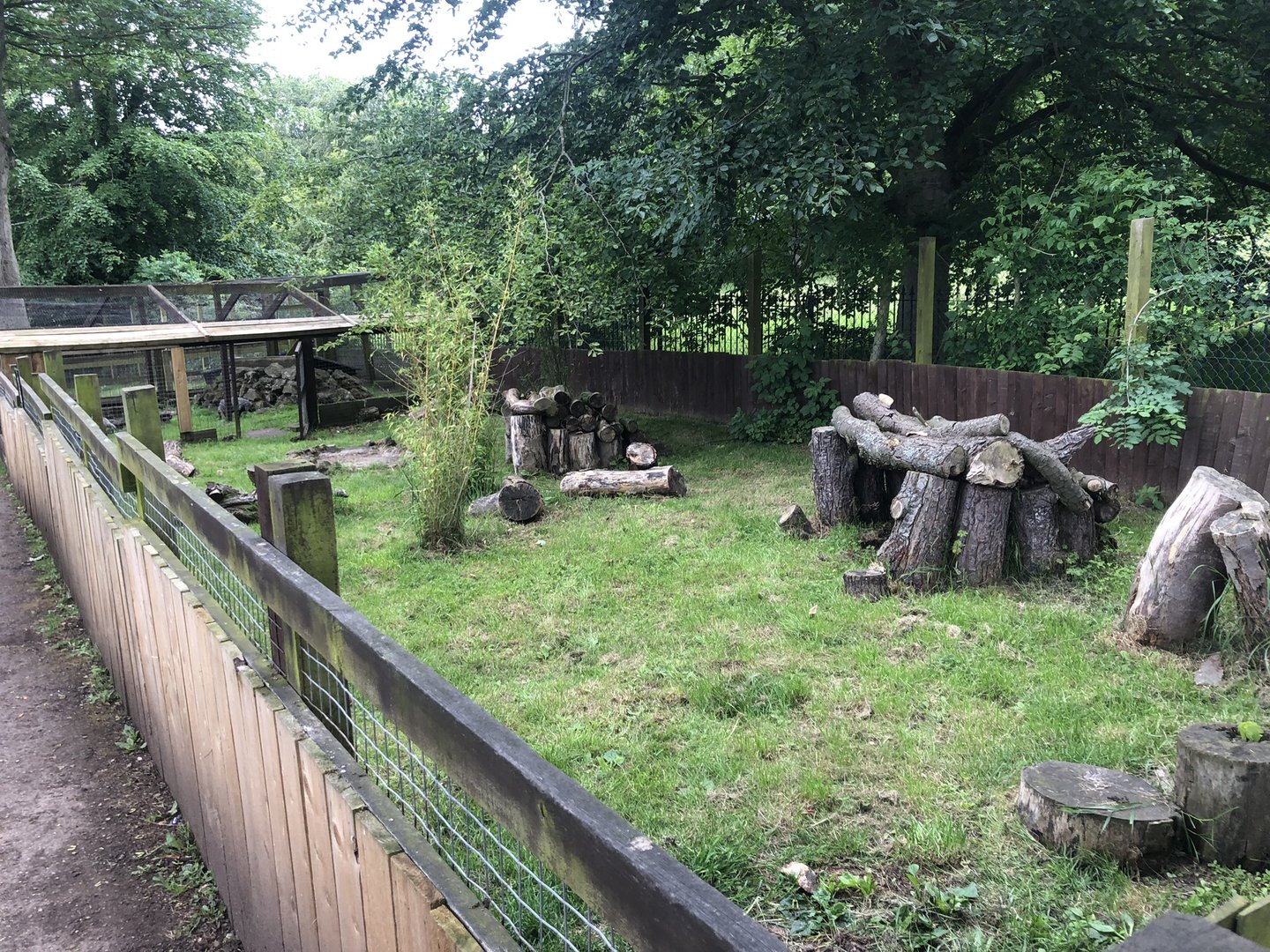 Raccoon Dog Enclosure at Sewerby Zoo (June 2023)