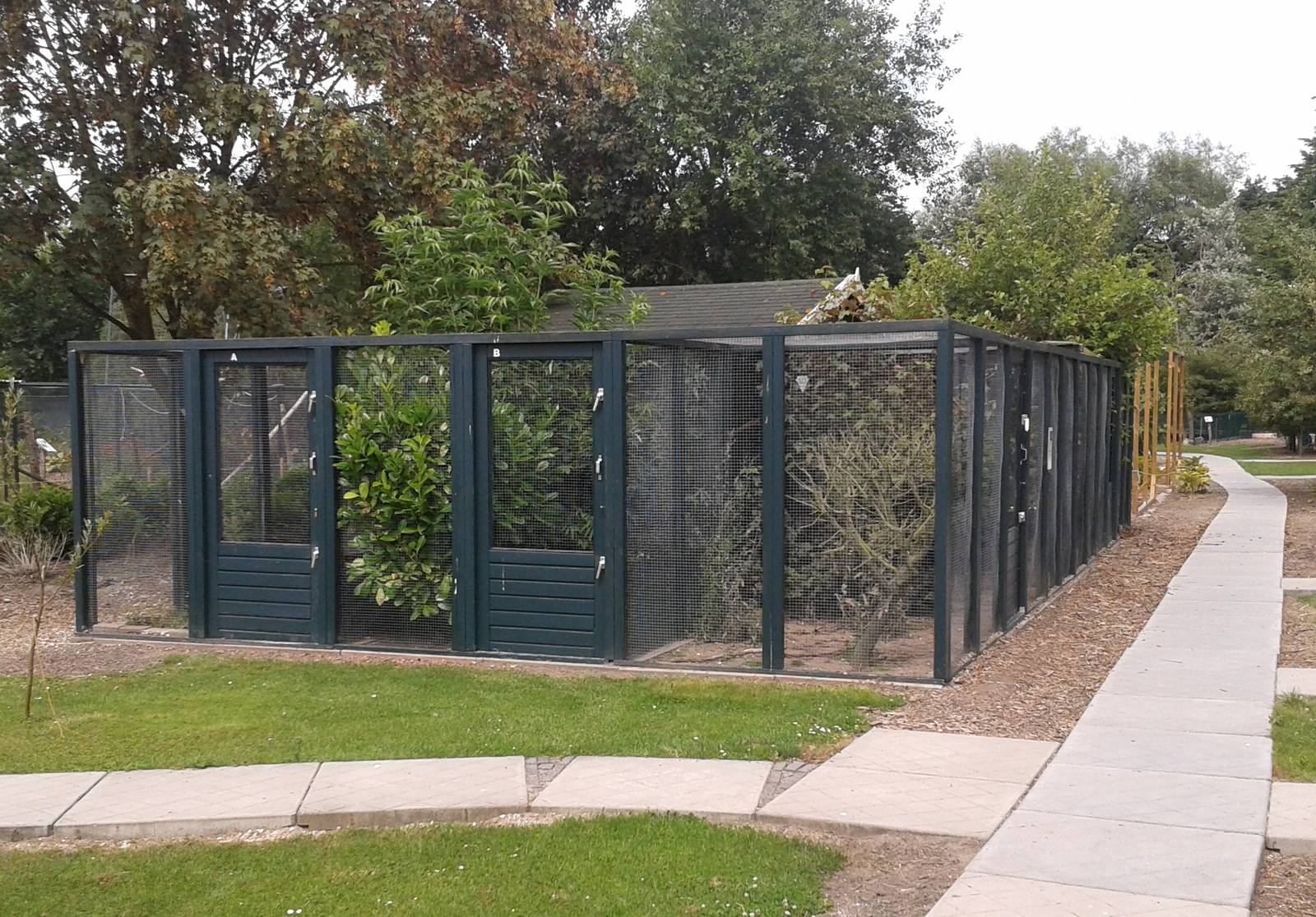 Raccoon dog enclosure