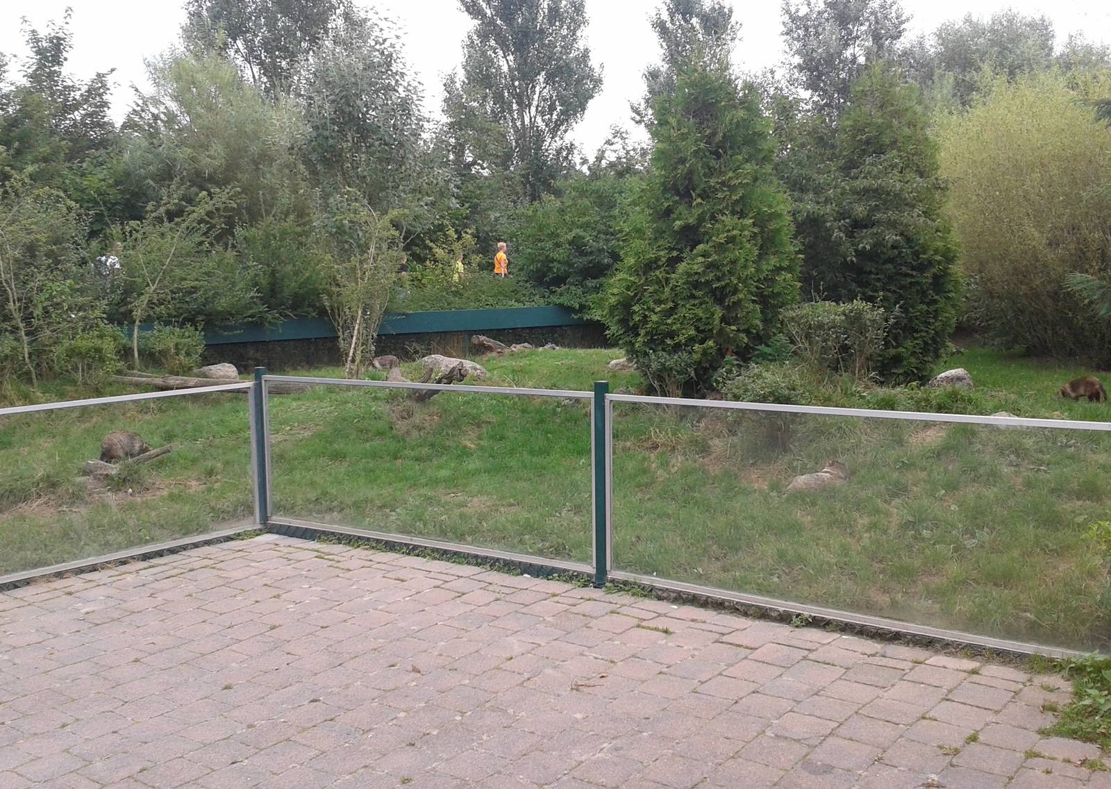 Raccoon dog enclosure