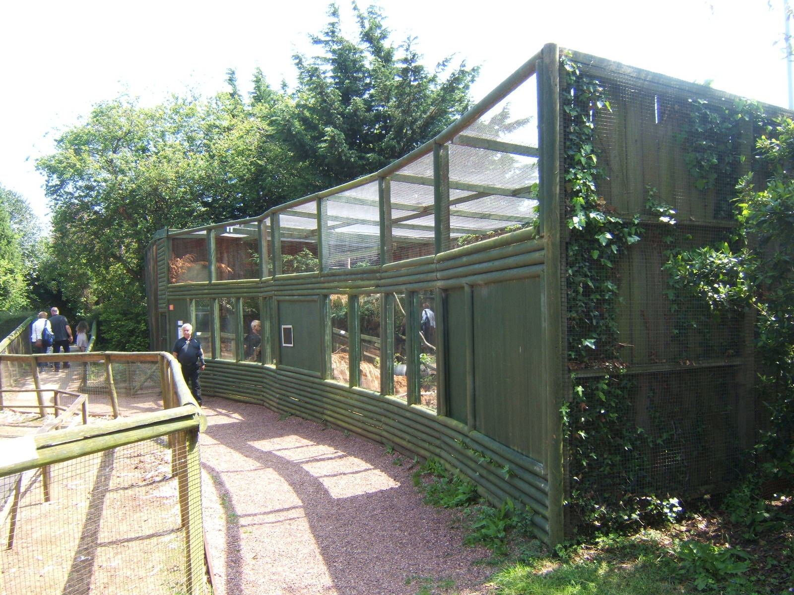 Raccoon Dog enclosure