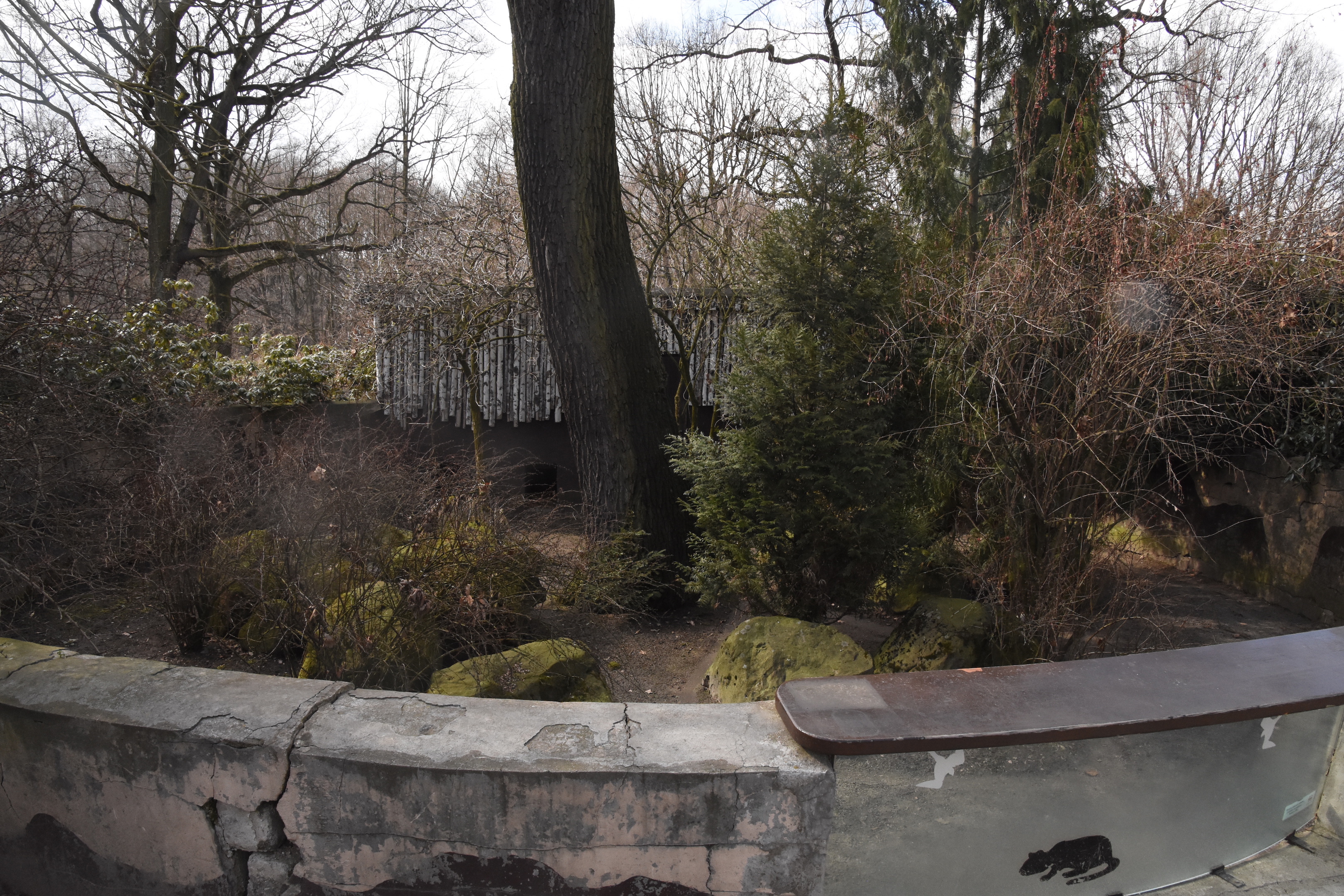 Raccoon dog enclosure