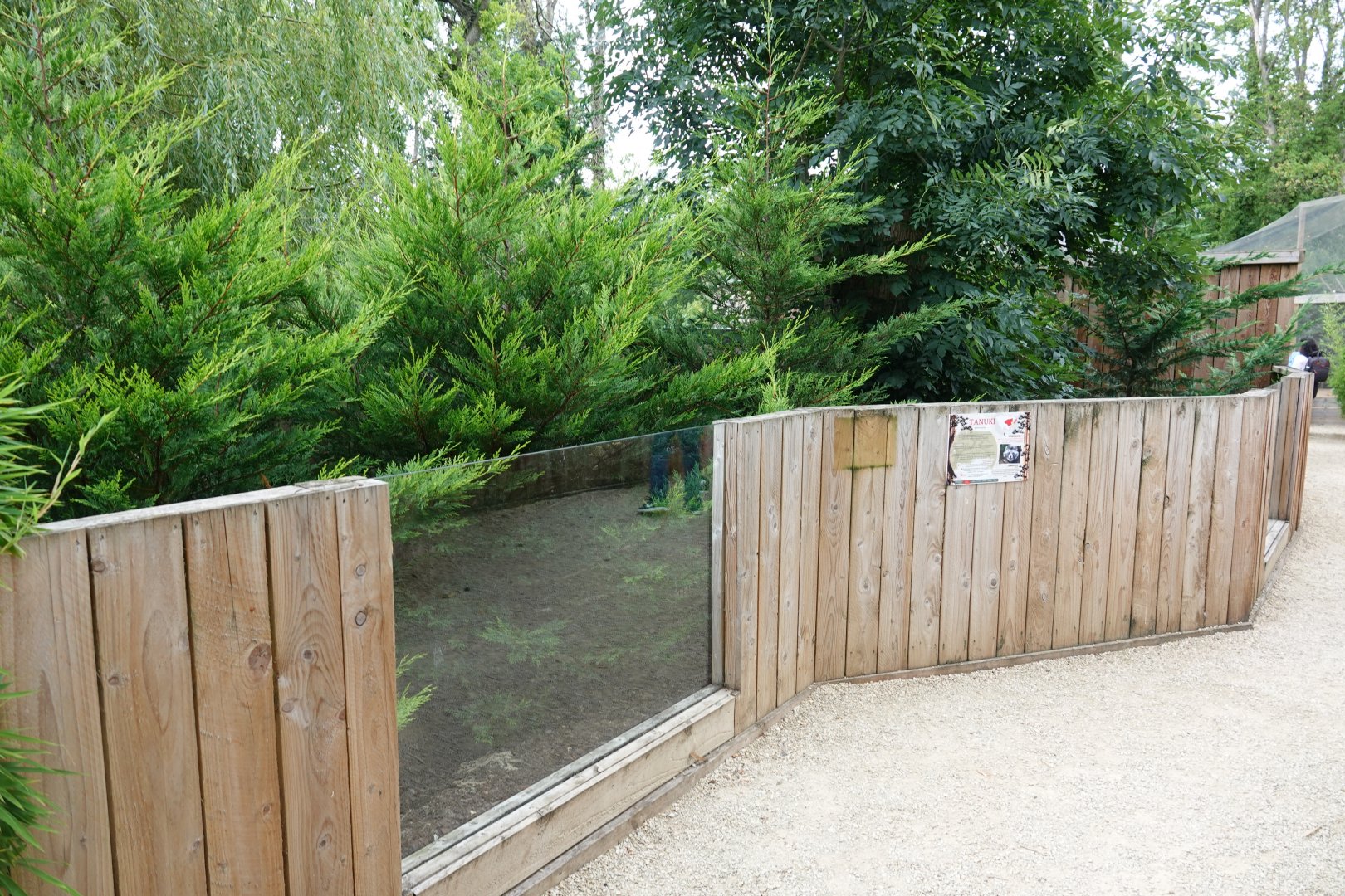 Raccoon dog enclosure