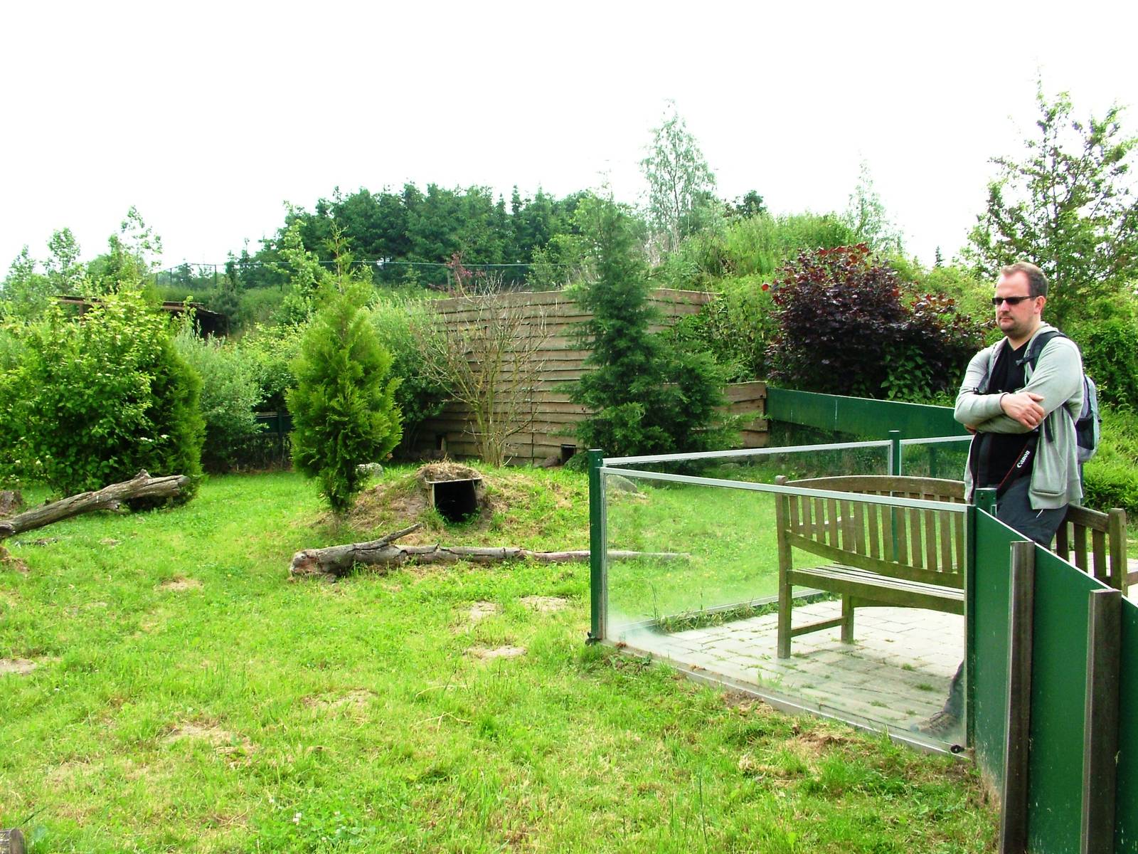 Raccoon Dog Exhibit at Dierenrijk, 31/05/12