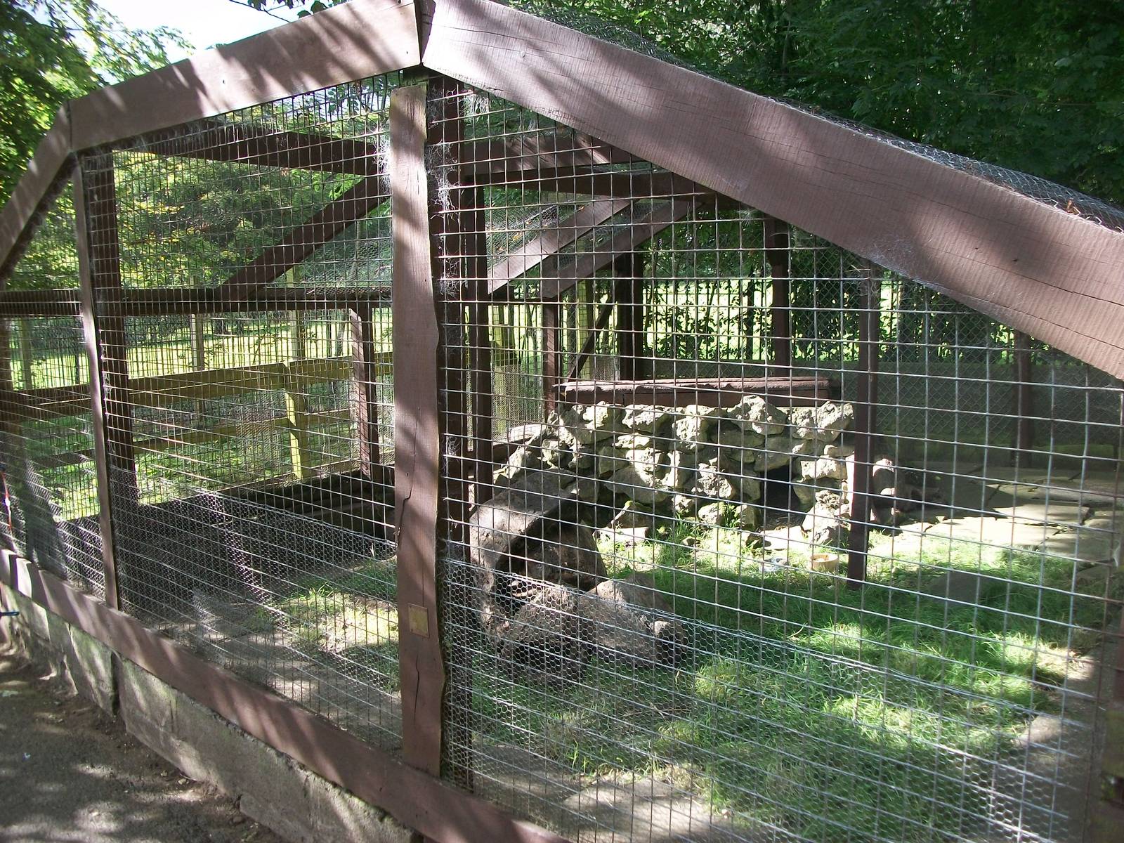 Raccoon Dog Ridge, 13th August 2014