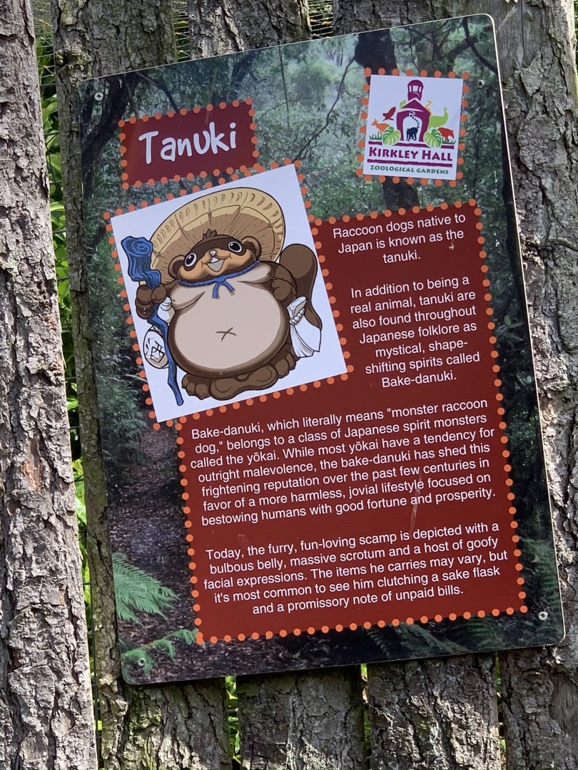 Raccoon Dog Signage at Northumberland College Zoo (2020)