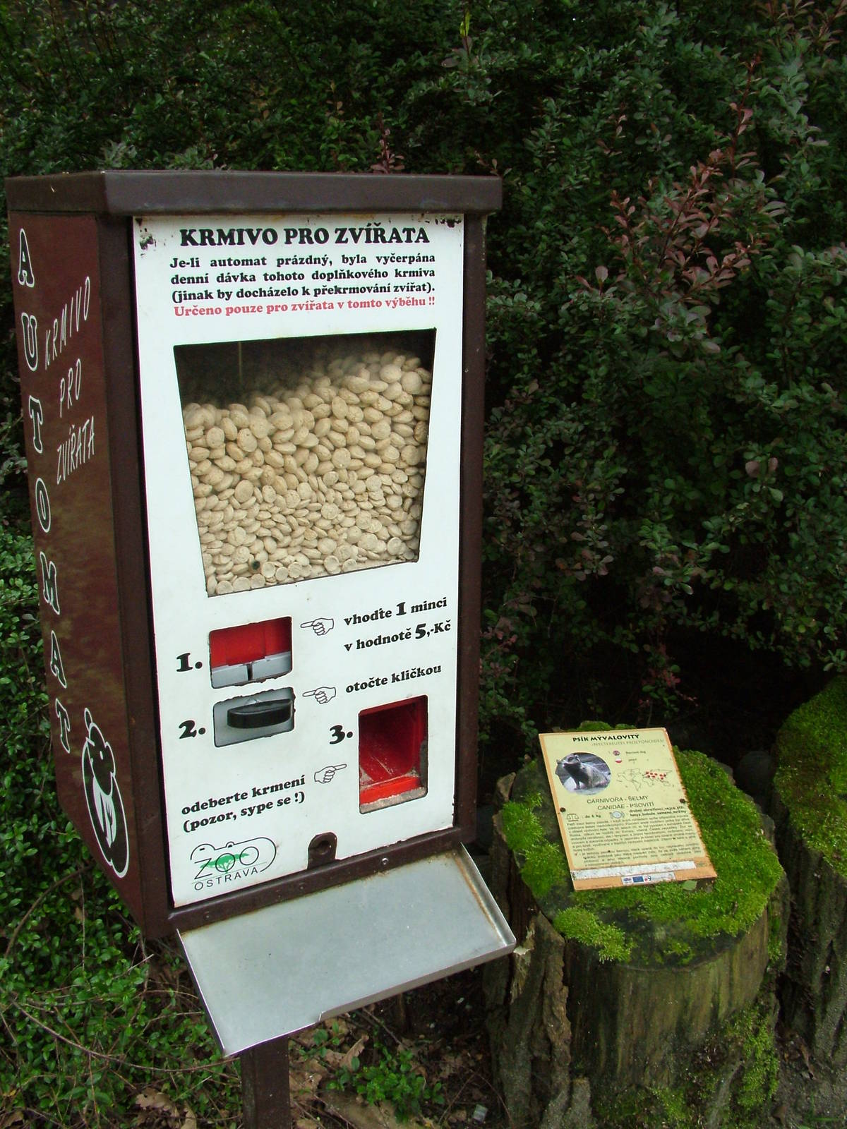 Raccoon Dog snack vending machine at Ostrava, 29/05/10