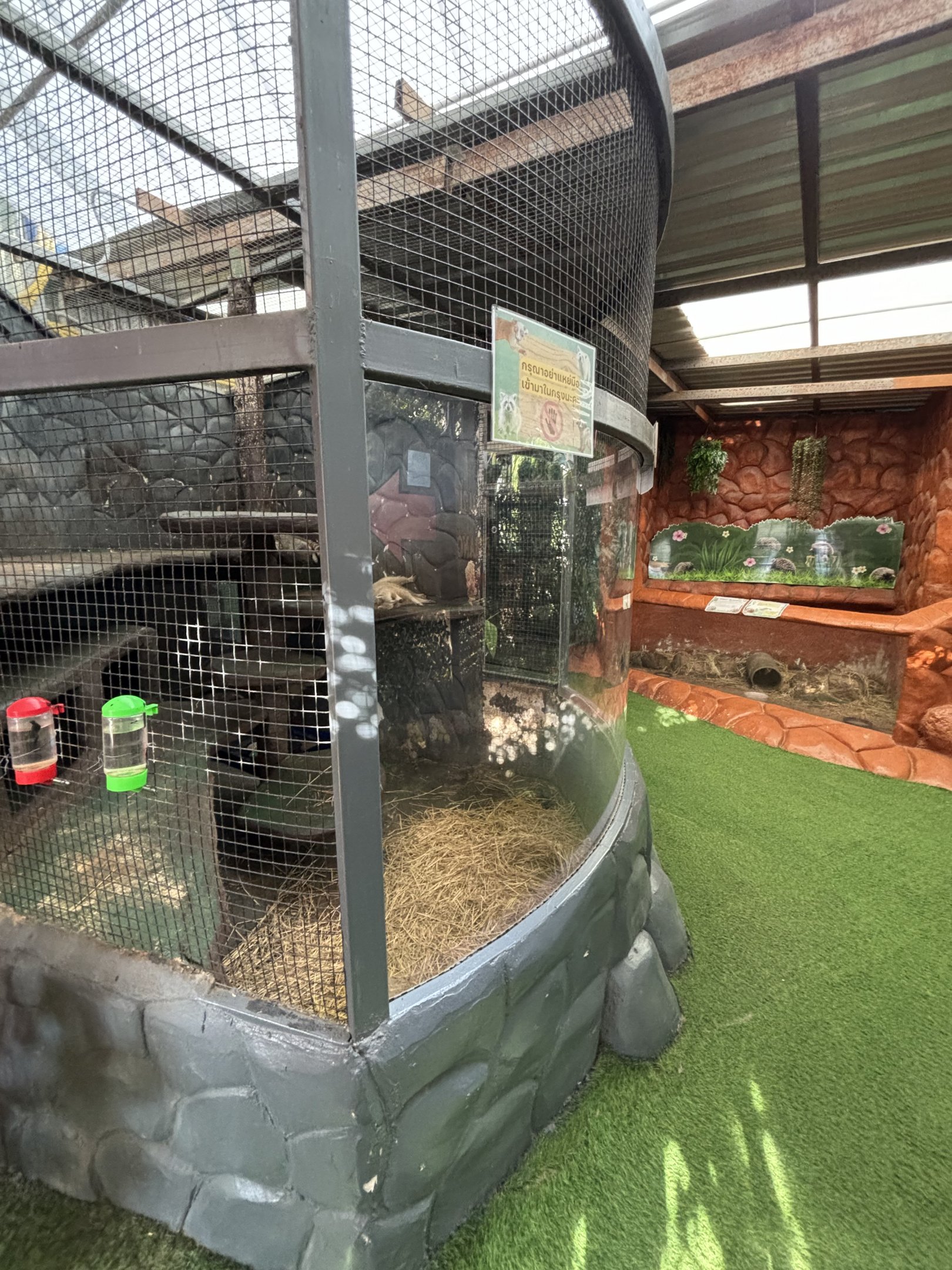 Raccoon + Echidna Exhibits