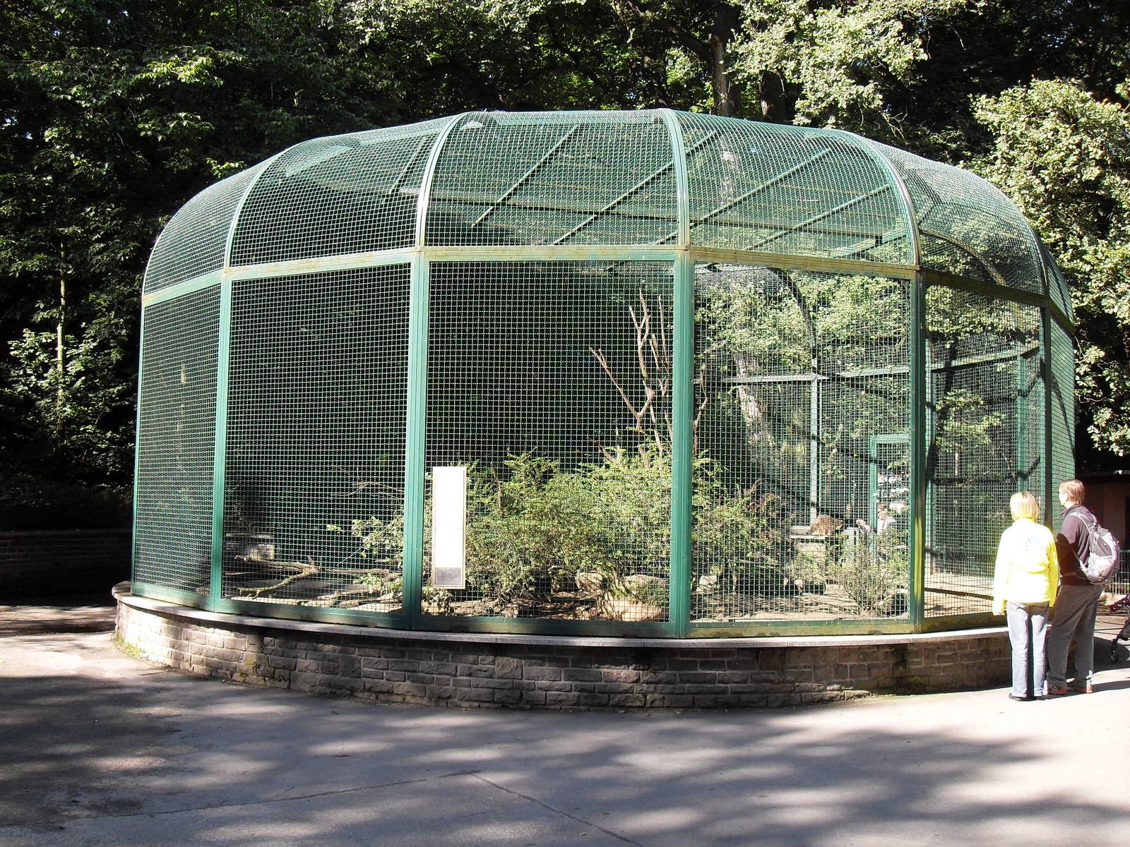 raccoon enclosure 050910