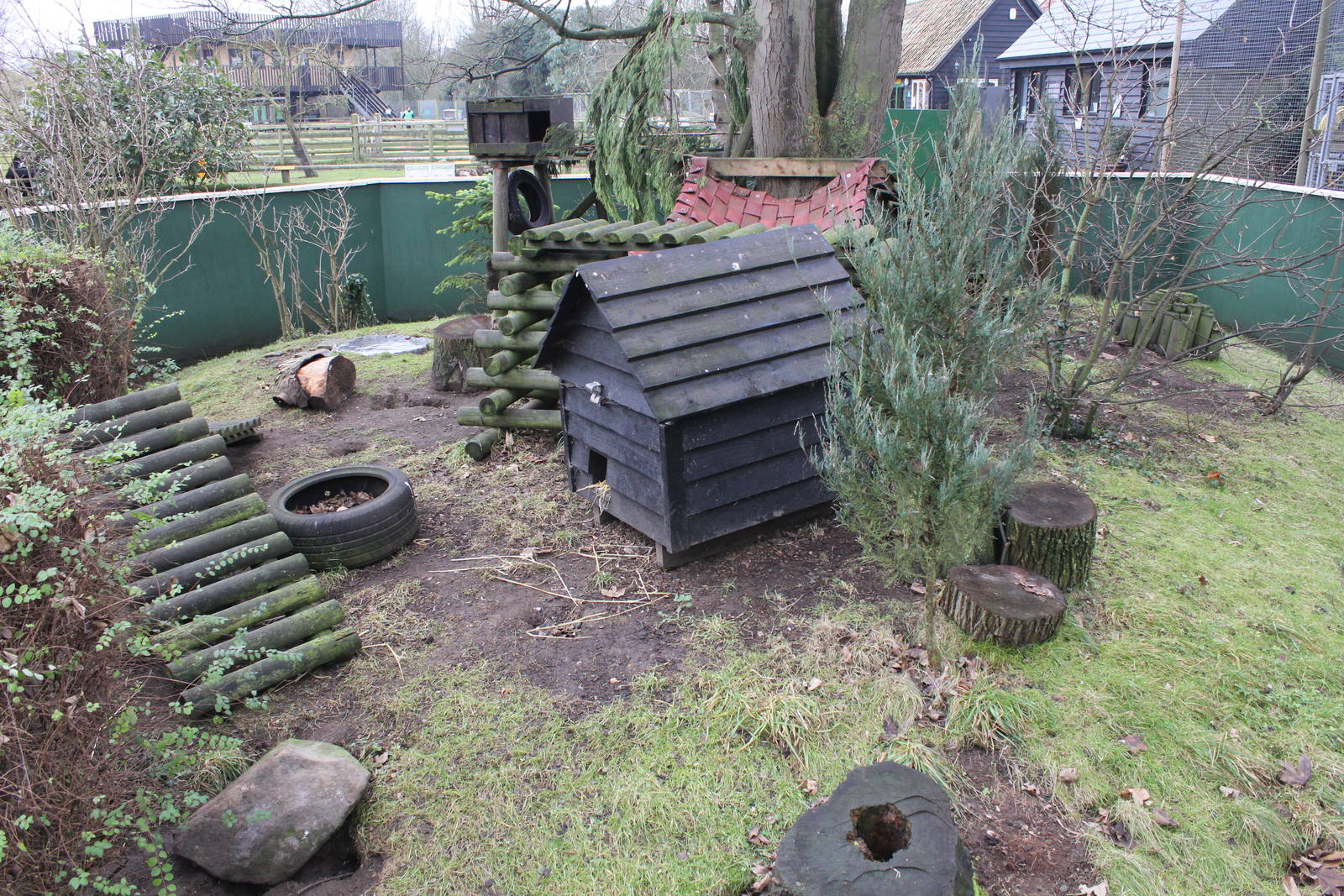 Raccoon Enclosure 1-1-15