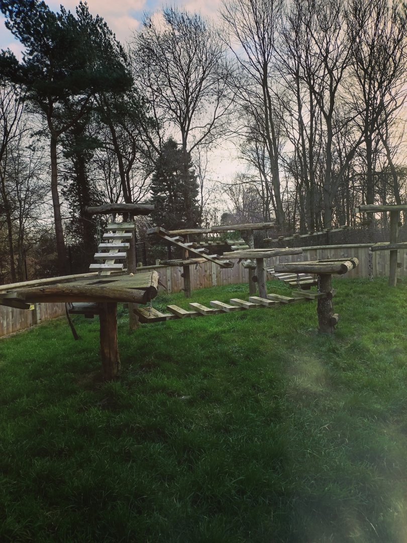 Raccoon enclosure 17/12/23