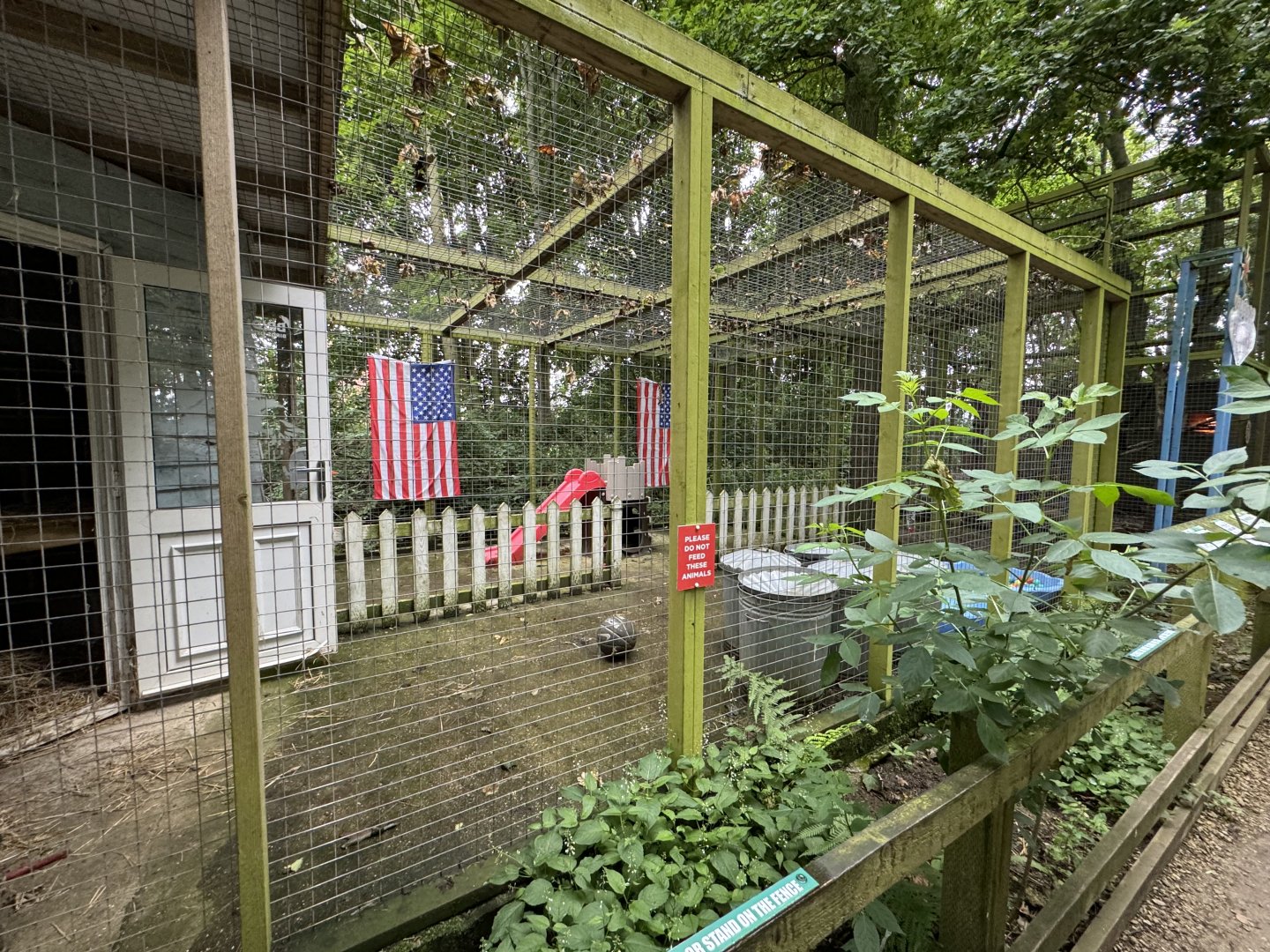 Raccoon Enclosure at Bridlington Animal Park (July 2024)