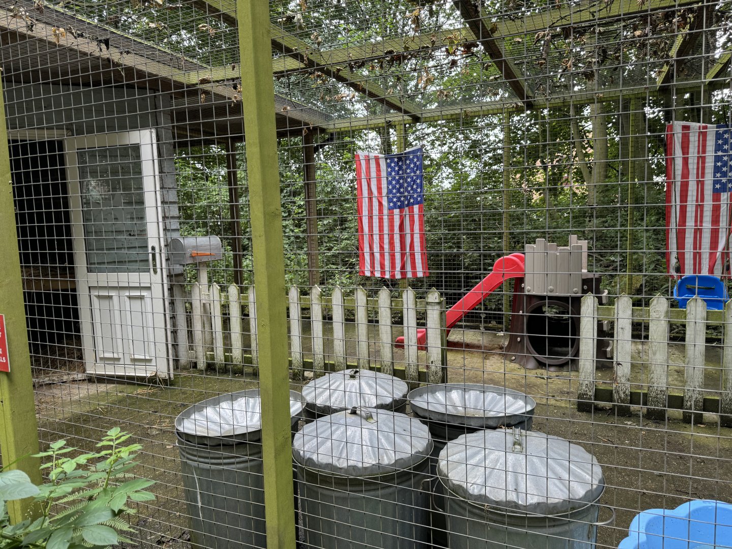 Raccoon Enclosure at Bridlington Animal Park (July 2024)