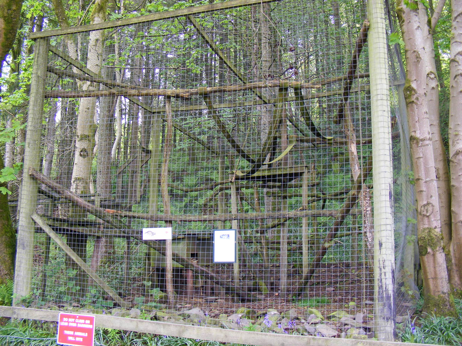 Raccoon enclosure at Galloway Wildlife Conservation Park, 16 May 2010