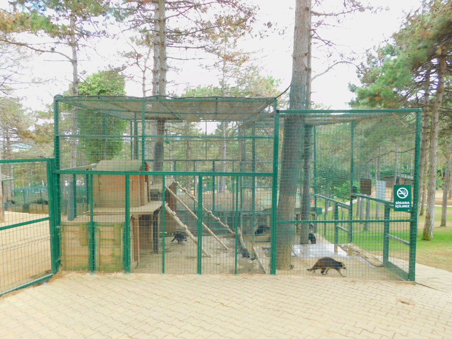 Raccoon Enclosure at Park of Istanbul