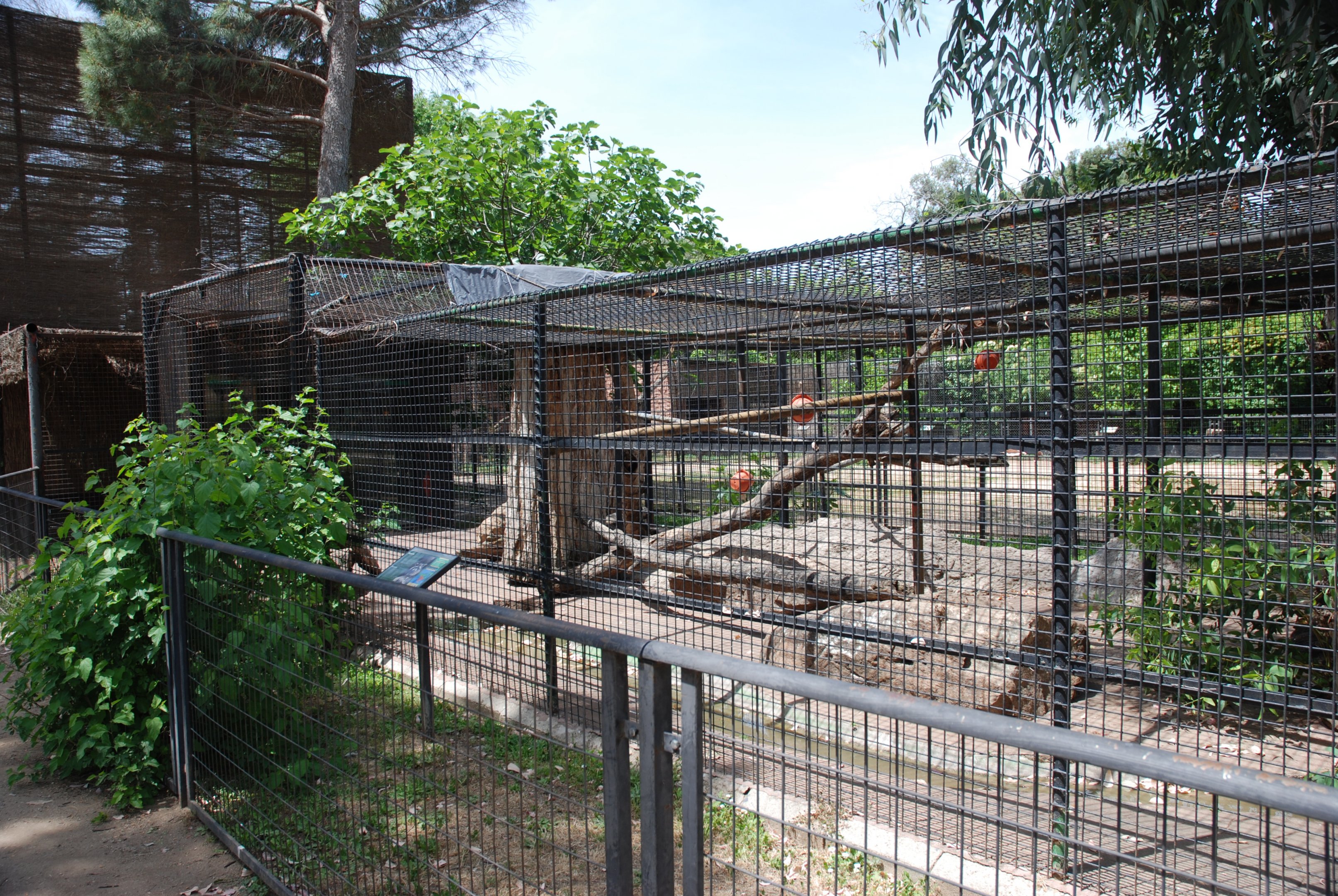 Raccoon Enclosure at Safari Madrid, 19th May 2022