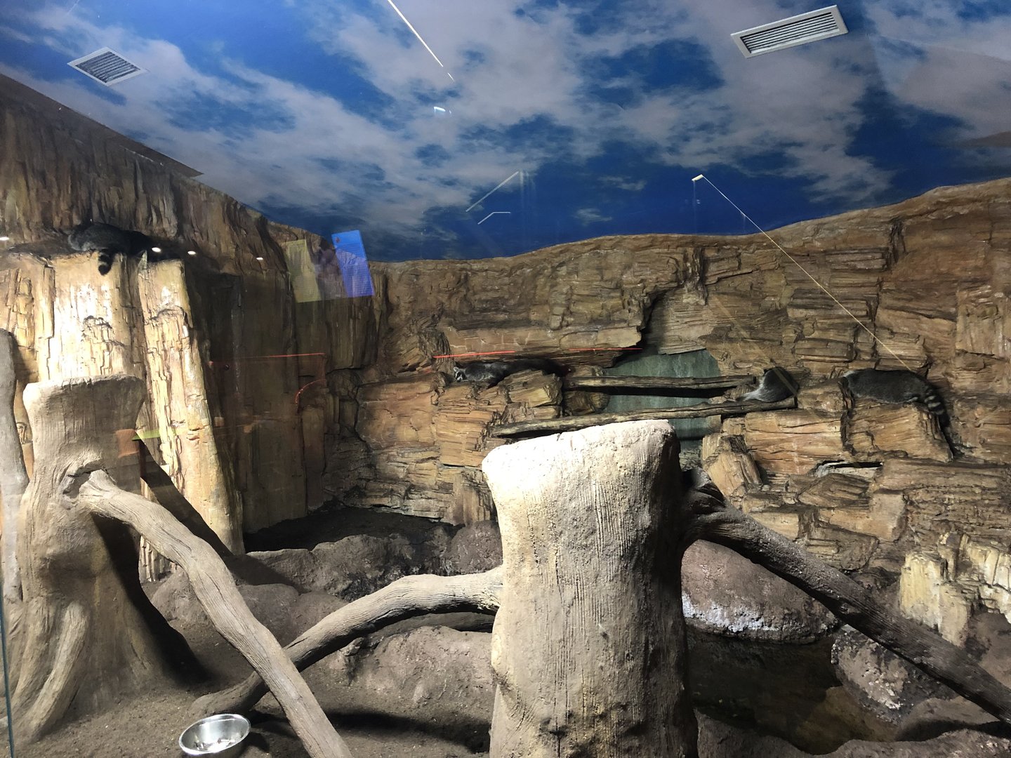 Raccoon enclosure at the Emaar aquarium