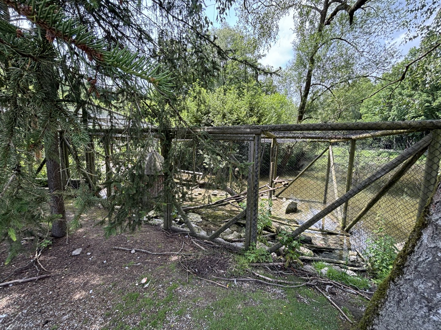 Raccoon Enclosure at Wildpark Poing