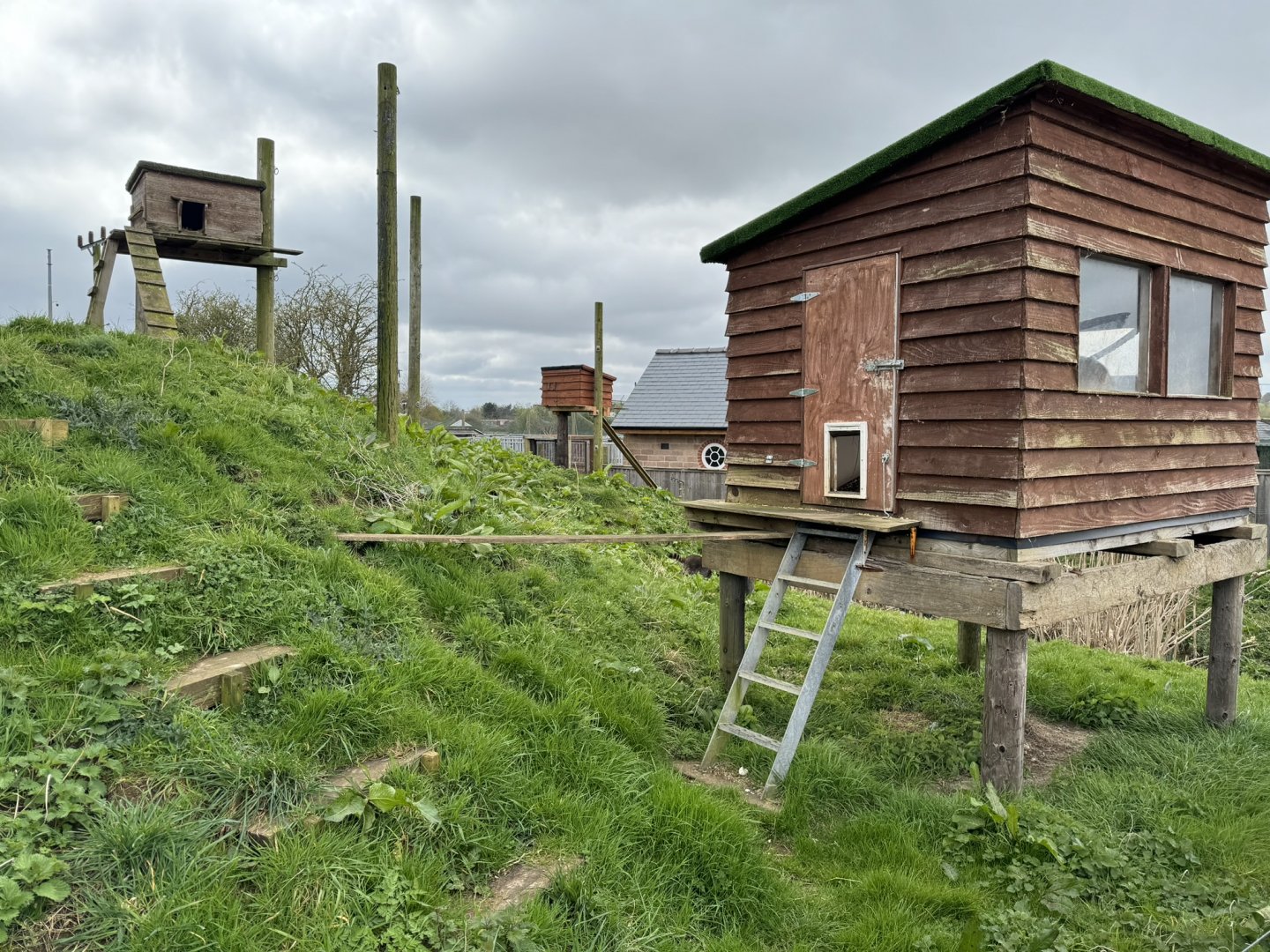 Raccoon Enclosure at Wolds Wildlife Park (March 2024)