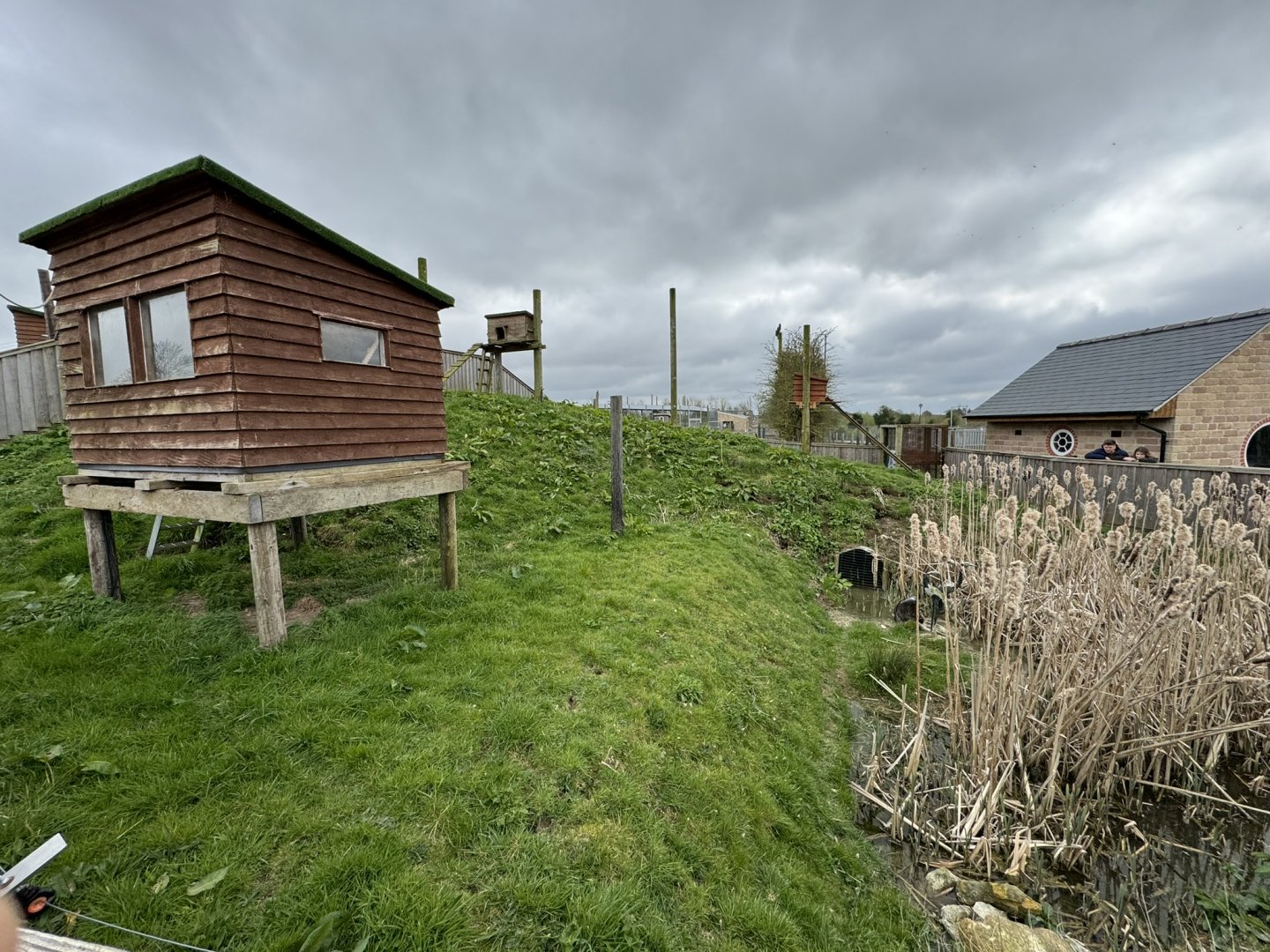 Raccoon Enclosure at Wolds Wildlife Park (March 2024)