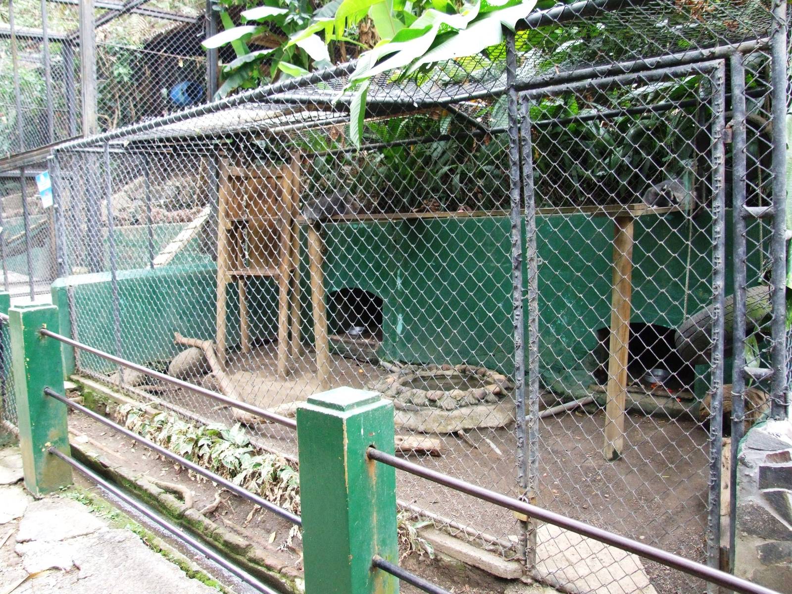 Raccoon Enclosure at Zoo Simon Bolivar, 12/04/14