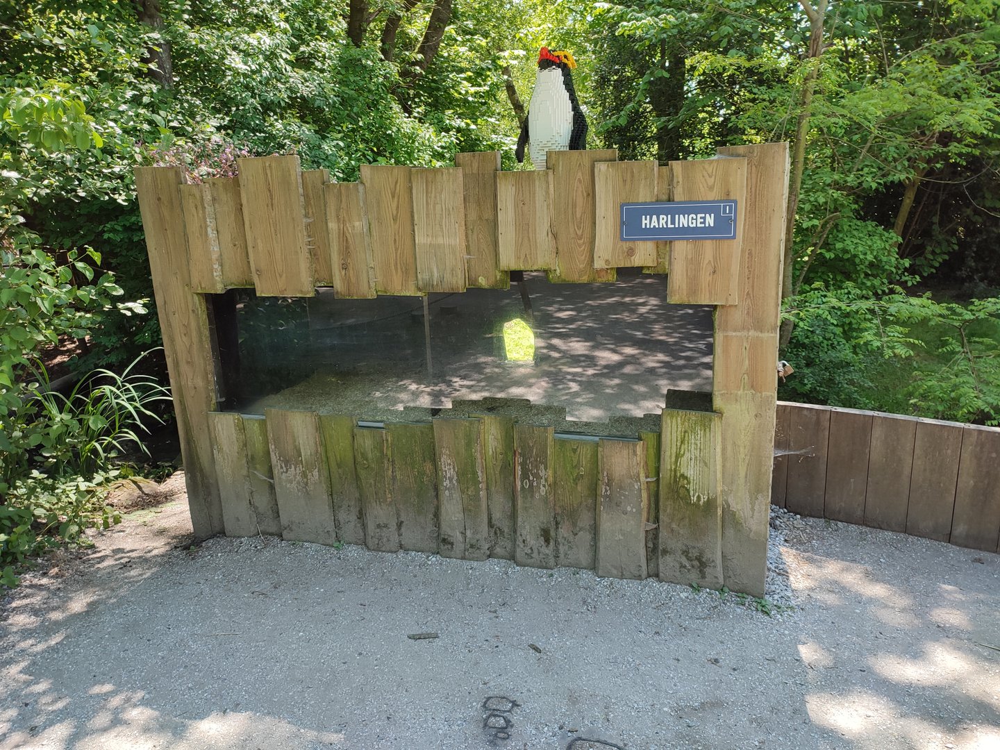 Raccoon enclosure - indoor enclosure