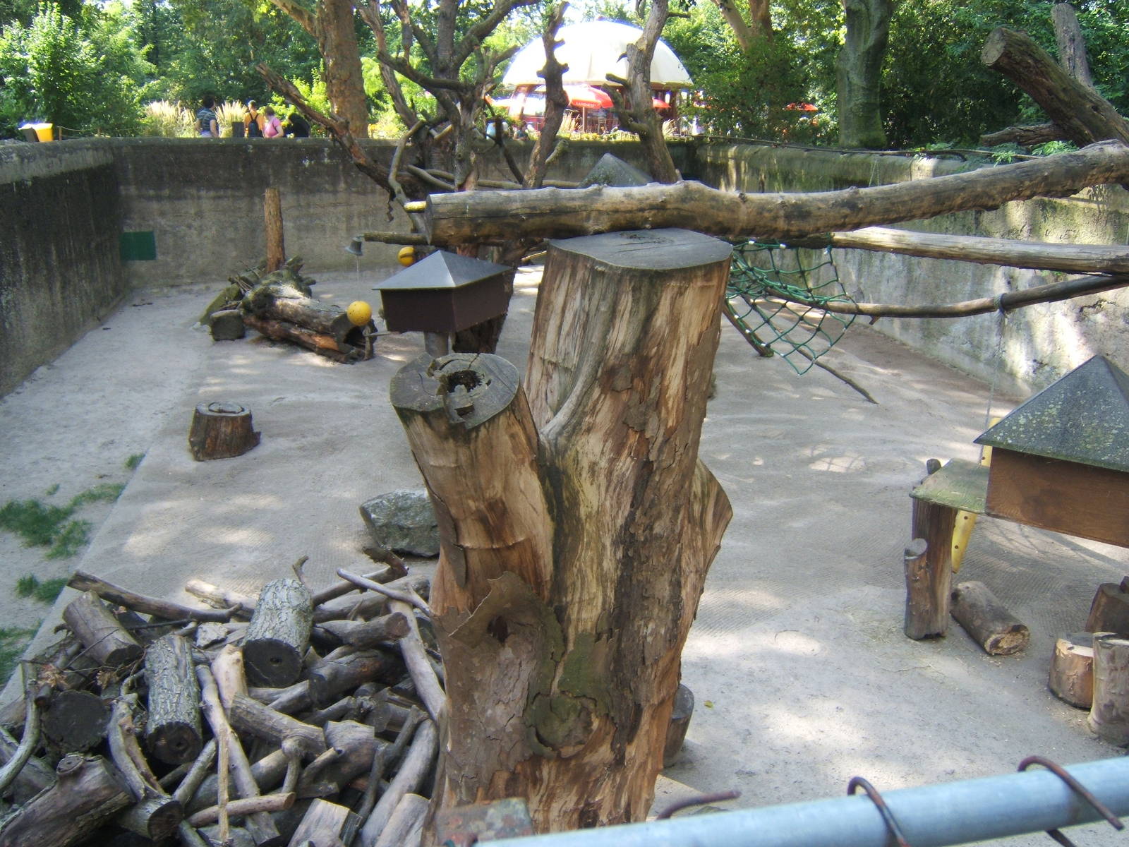 Raccoon enclosure