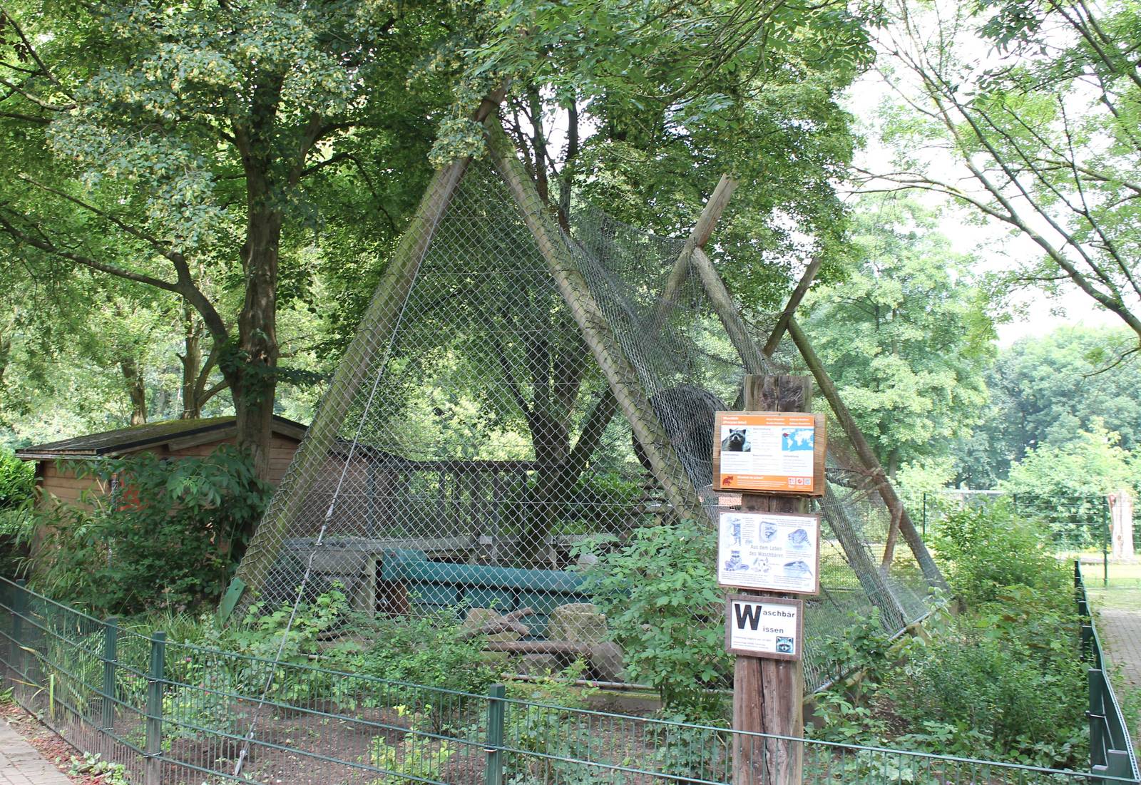 Raccoon enclosure