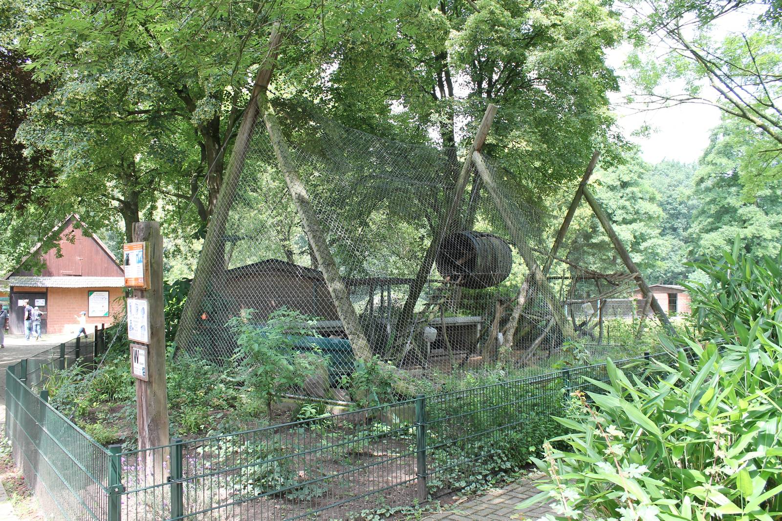 Raccoon enclosure