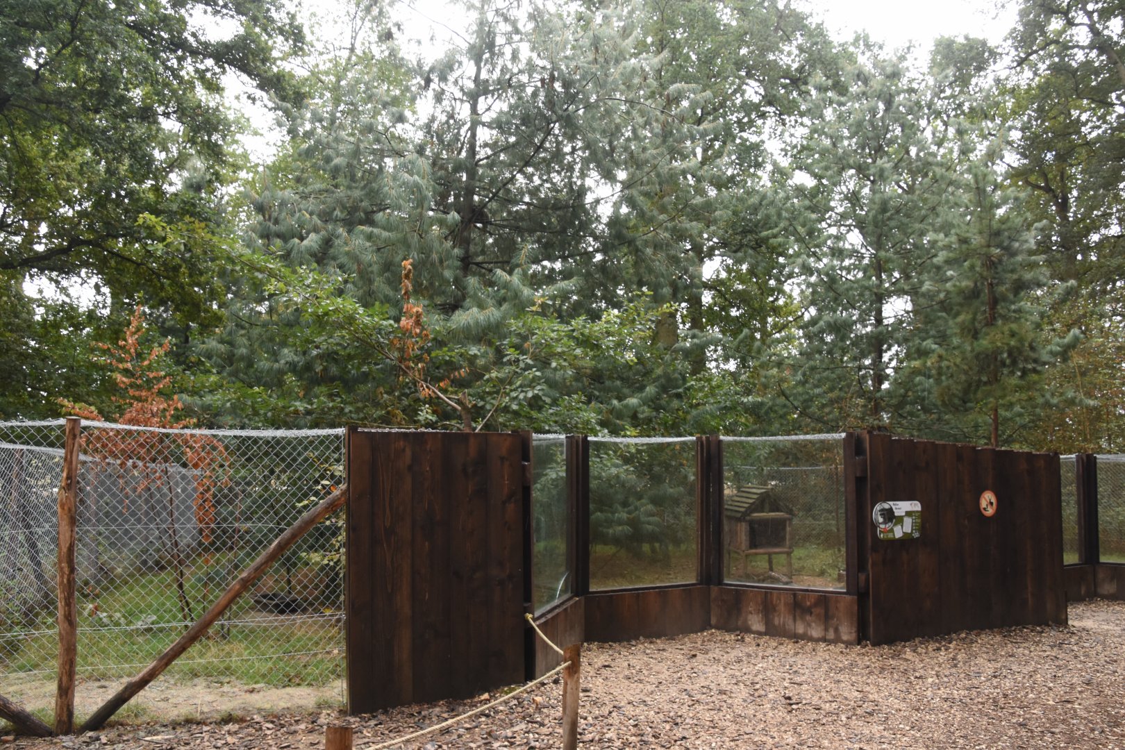 Raccoon enclosure