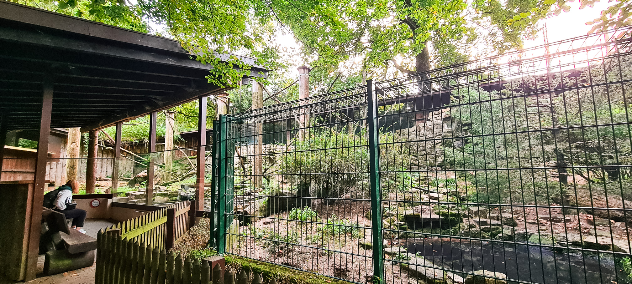 Raccoon enclosure