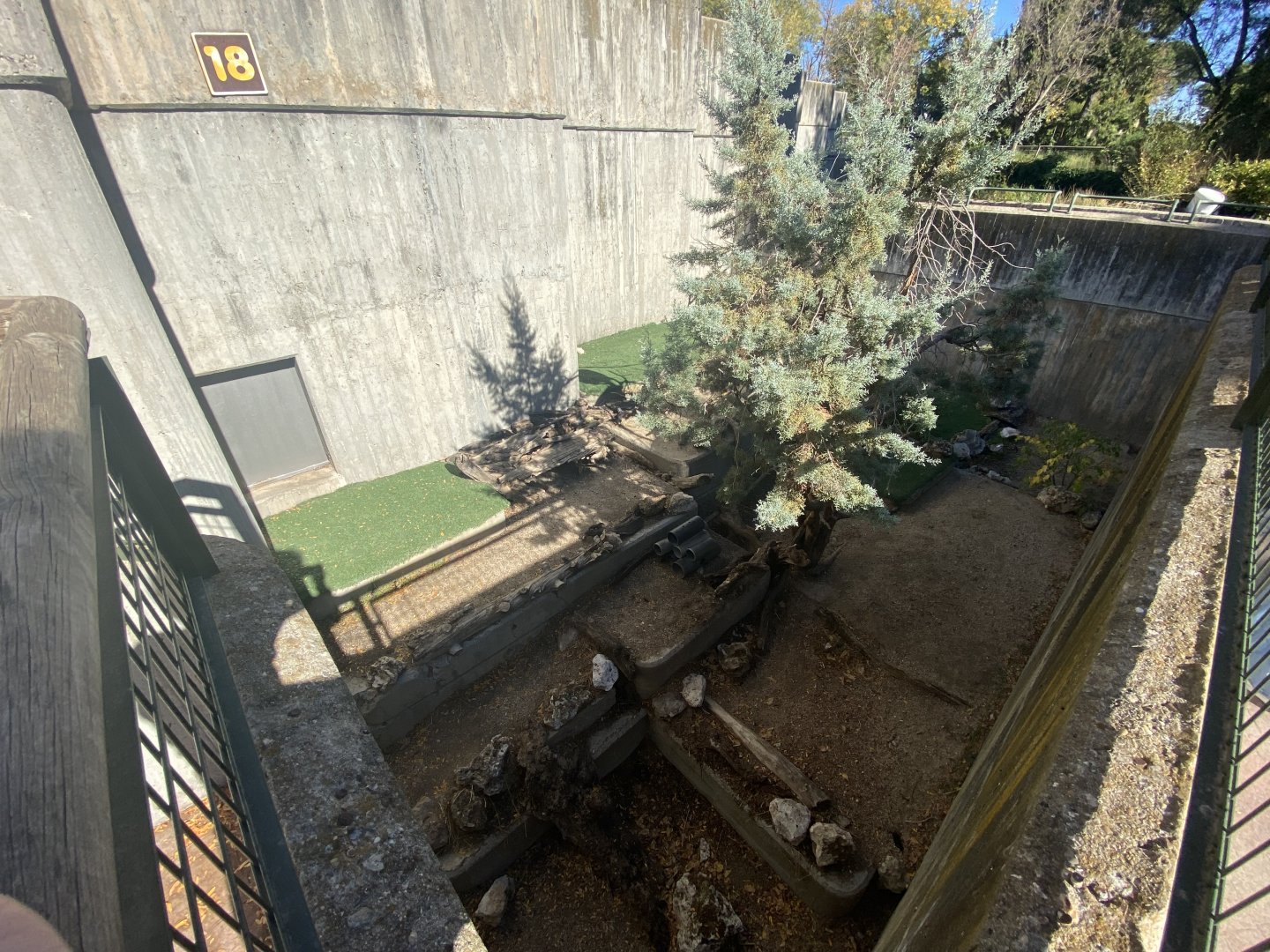 Raccoon enclosure