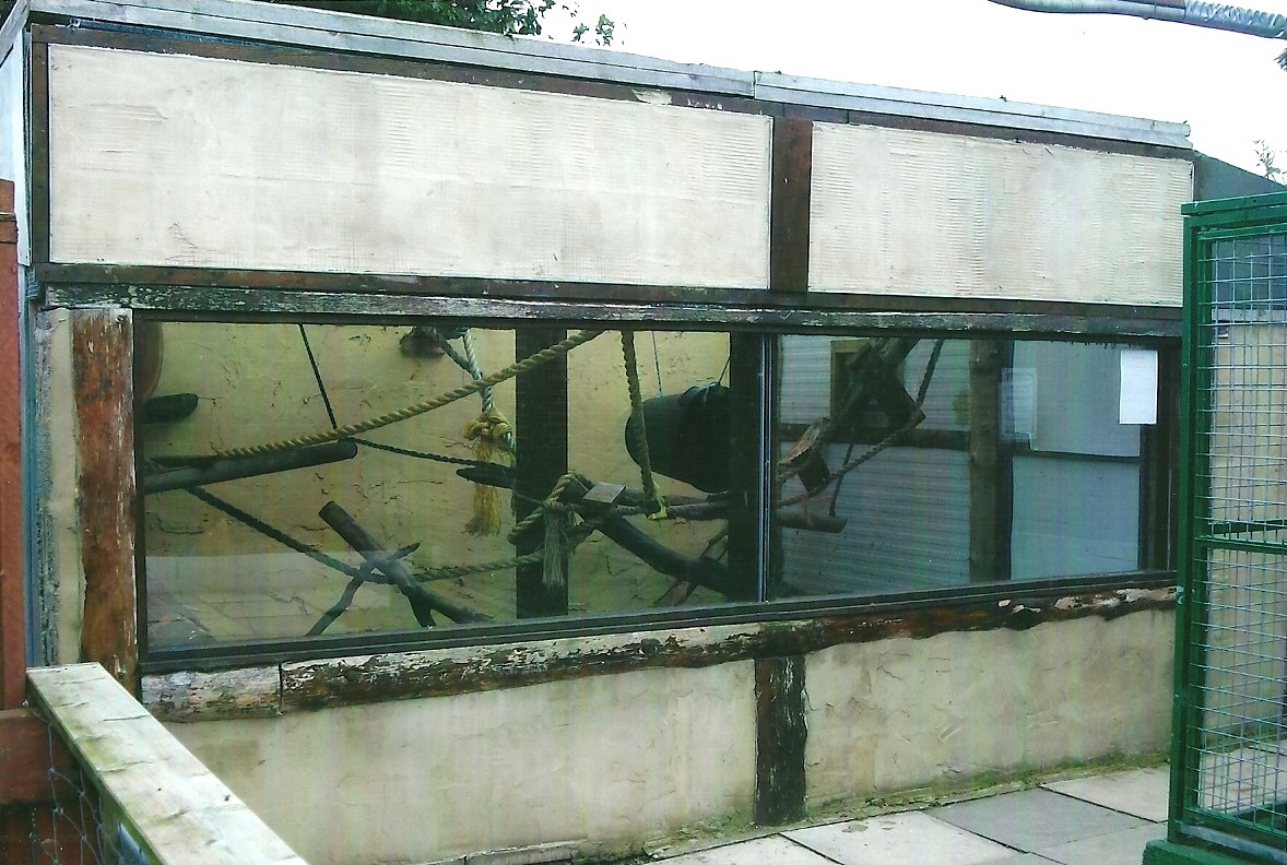 Raccoon exhibit, 13th September 2013