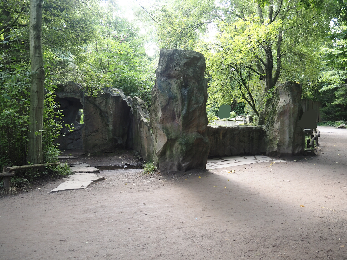 Raccoon exhibit, 2024-08-05