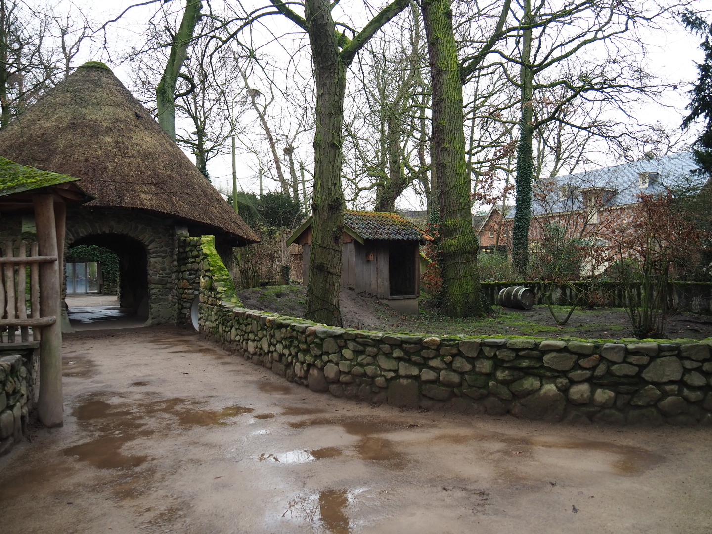 Raccoon exhibit and rabbit/raccoon den shed with visitor passageway, 2020-01-11