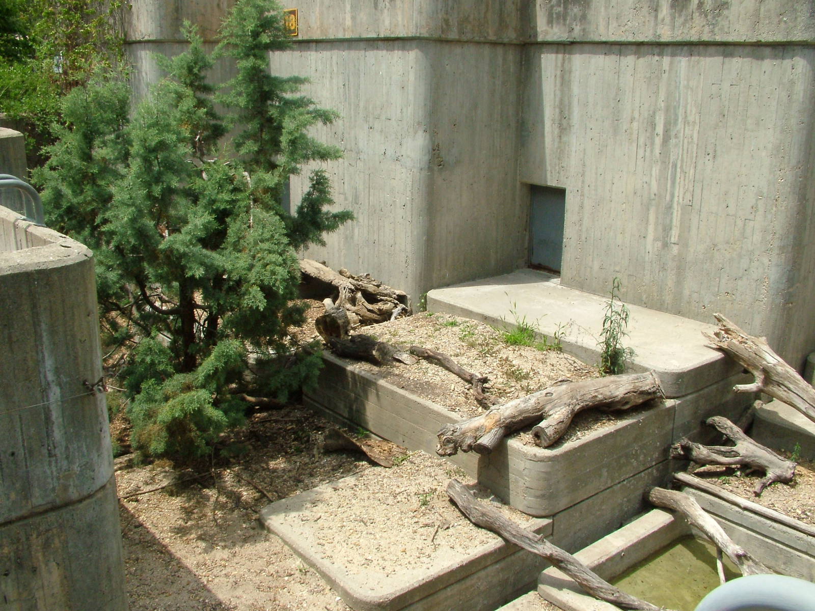 Raccoon Exhibit at Madrid Zoo Aquarium, 26/05/11