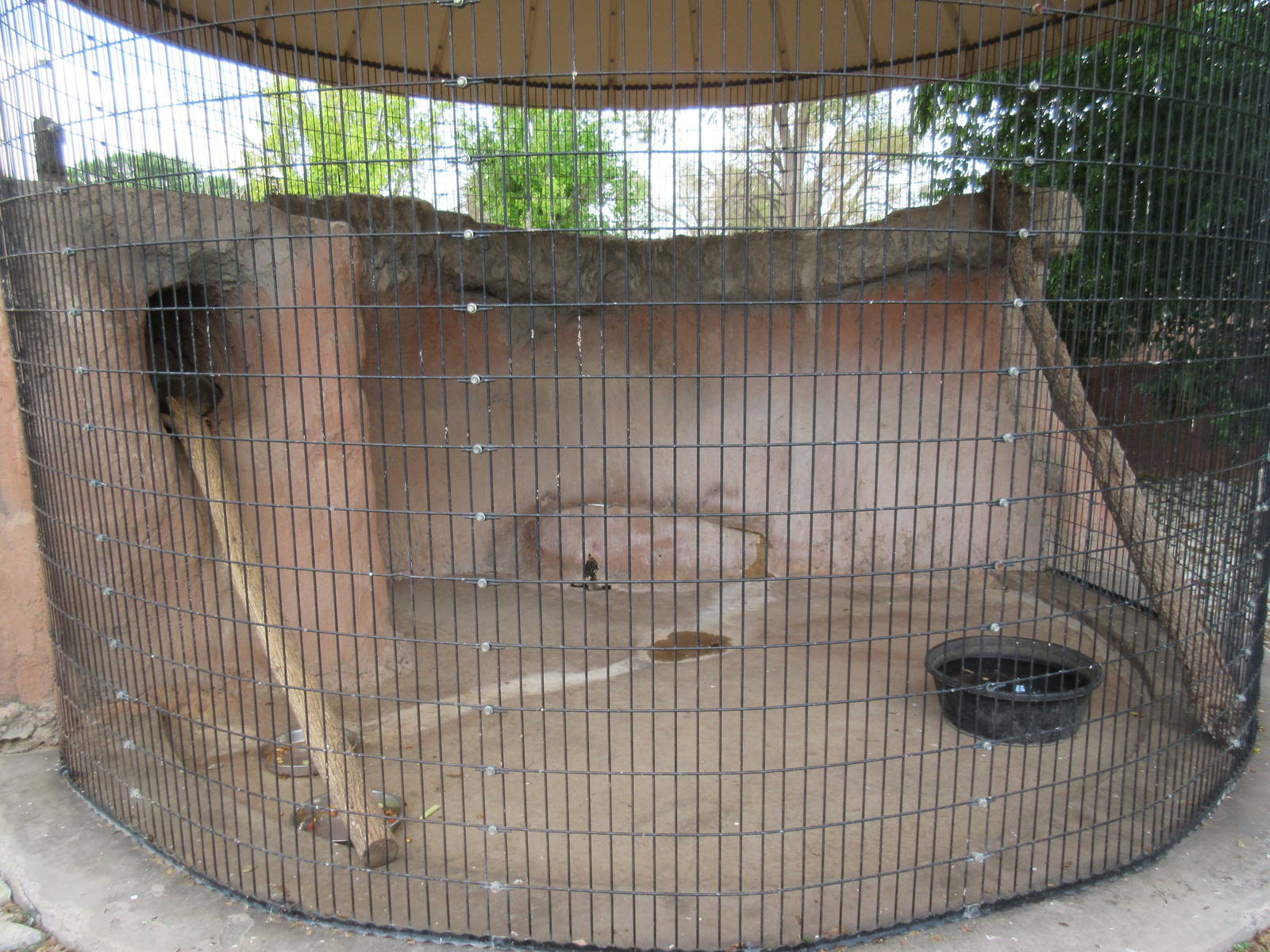 Raccoon Exhibit - awful!