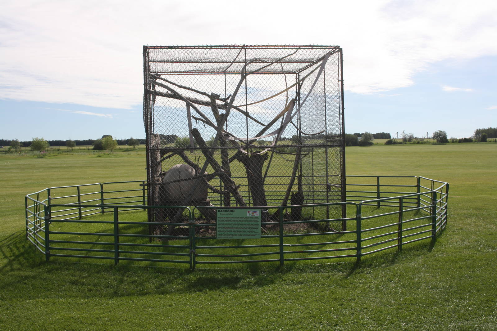 Raccoon Exhibit (currently empty)