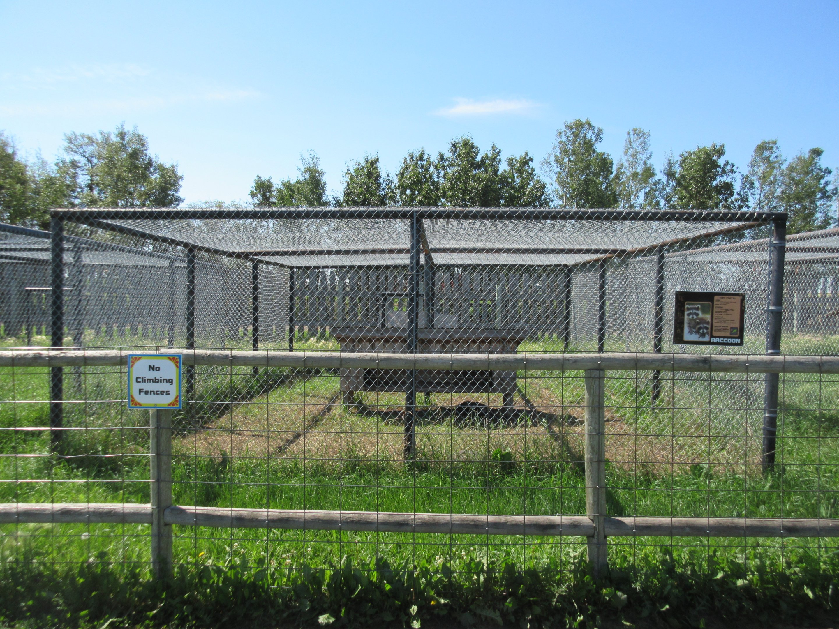 Raccoon Exhibit (currently no raccoons are at the zoo)