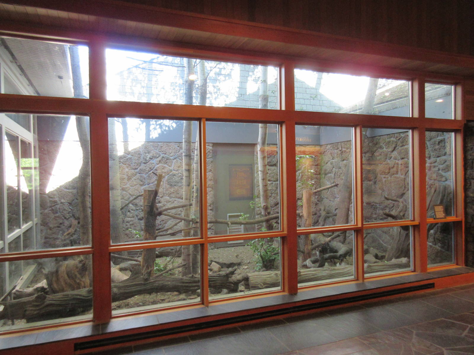 Raccoon Exhibit (ex-pet)