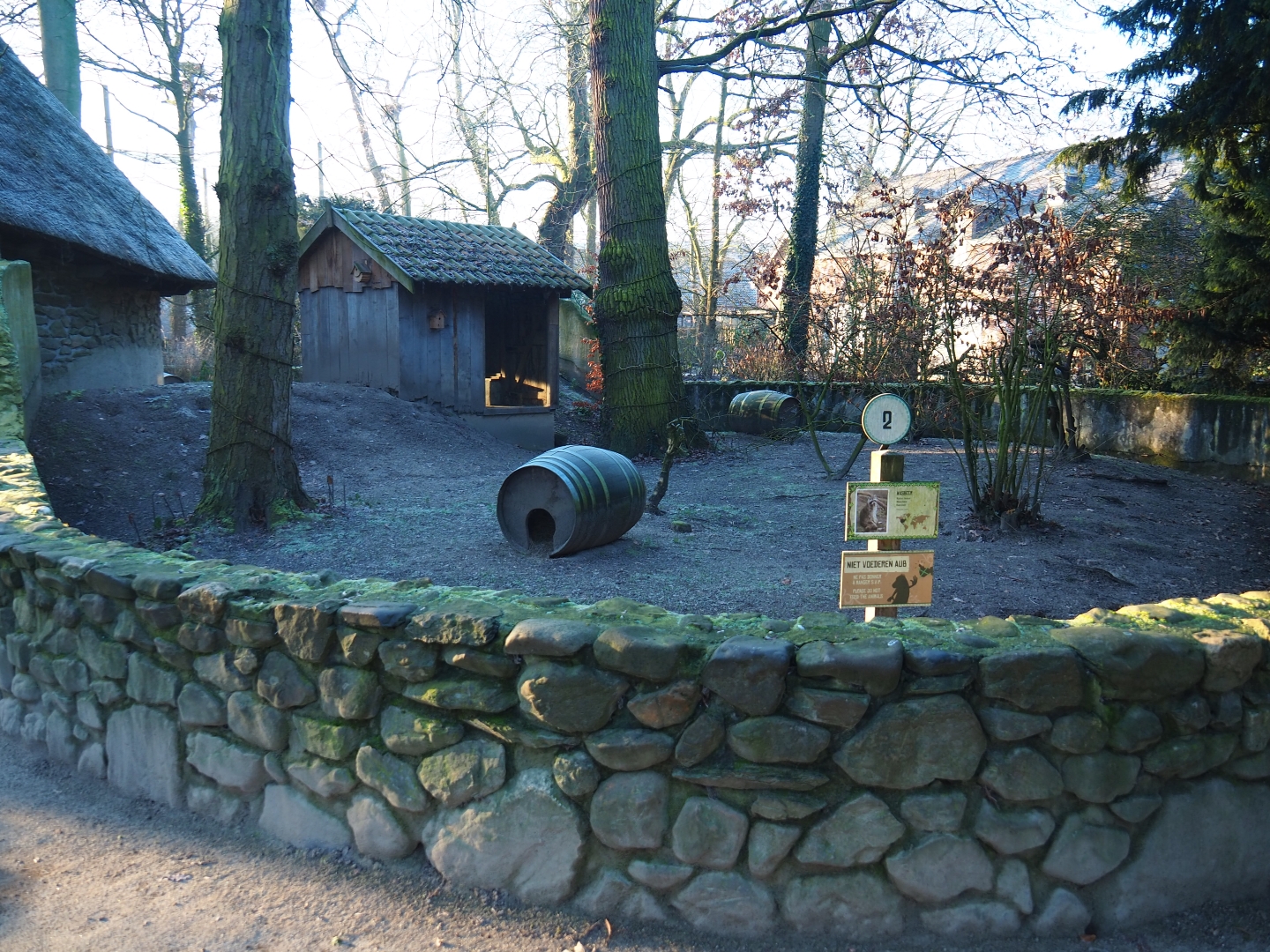 Raccoon exhibit (Jan 20th, 2019)