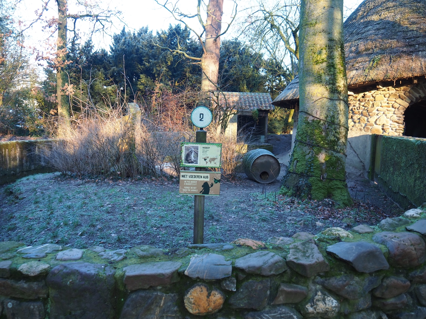 Raccoon exhibit (Jan 20th, 2019)