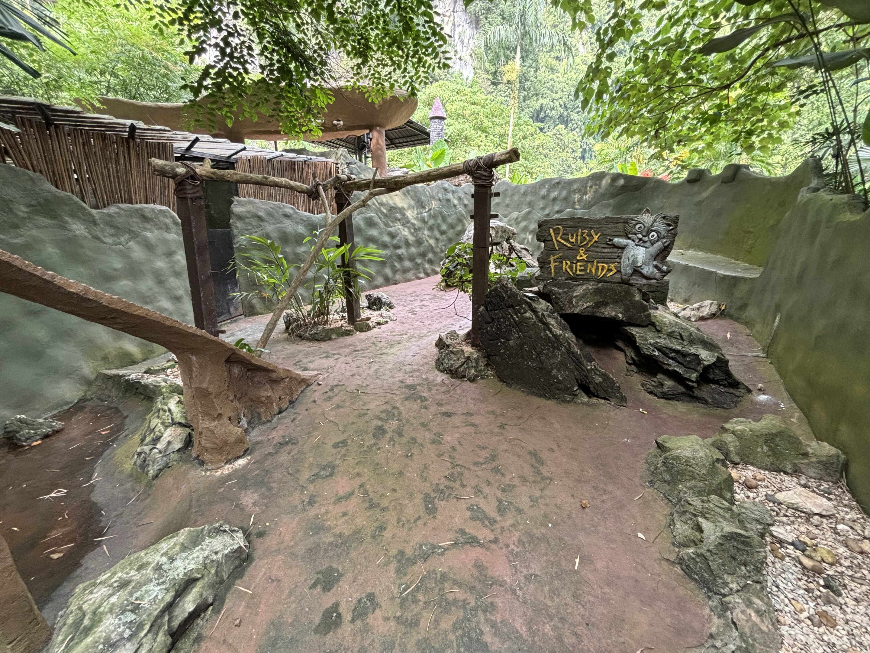 Raccoon Exhibit - Lost World of Tambun