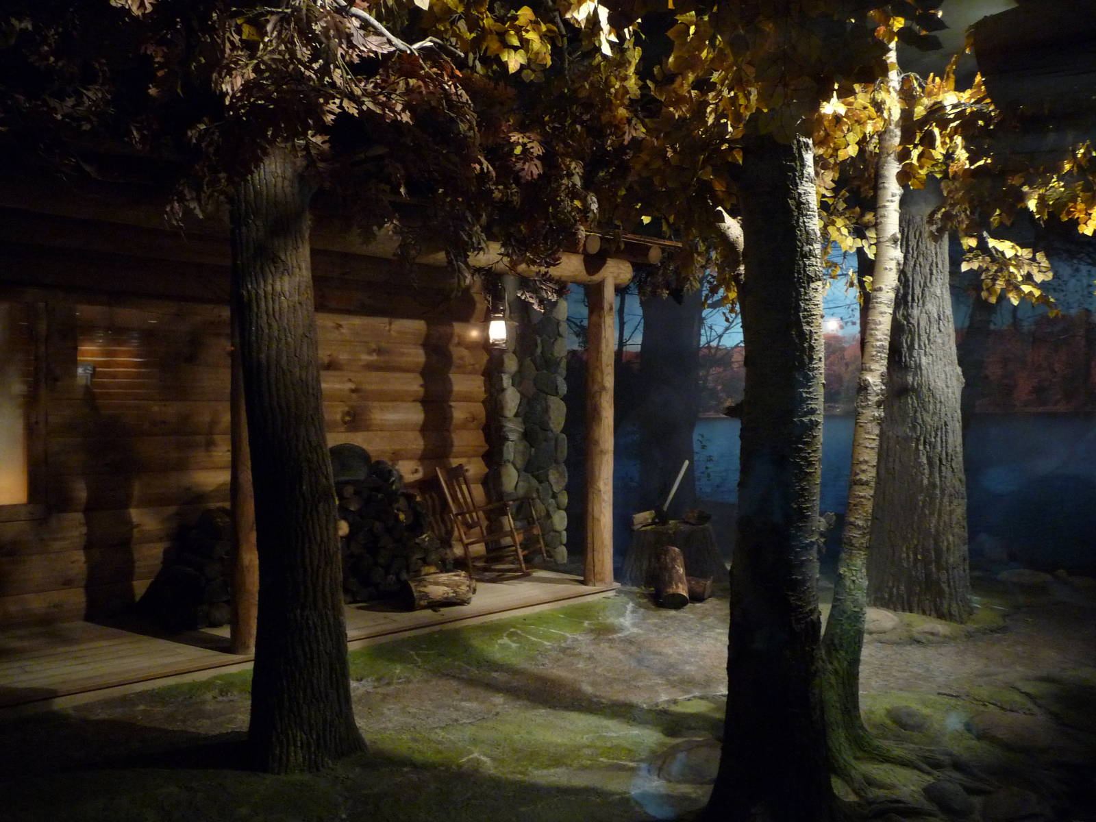 Raccoon Exhibit - Minnesota Zoo