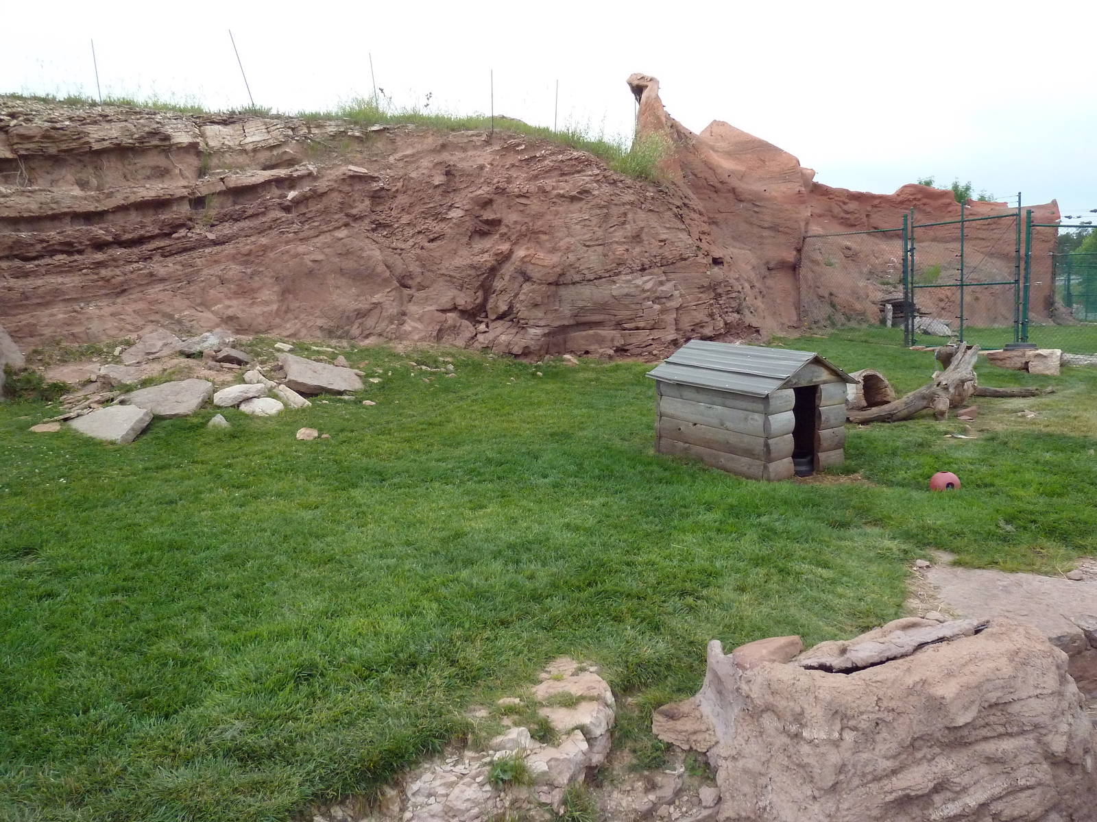 Raccoon Exhibit (nothing to climb on!)