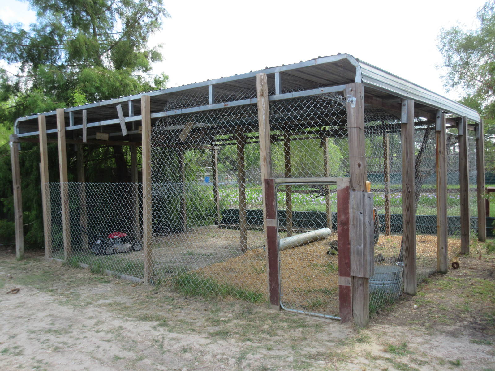 Raccoon Exhibit (under repair)