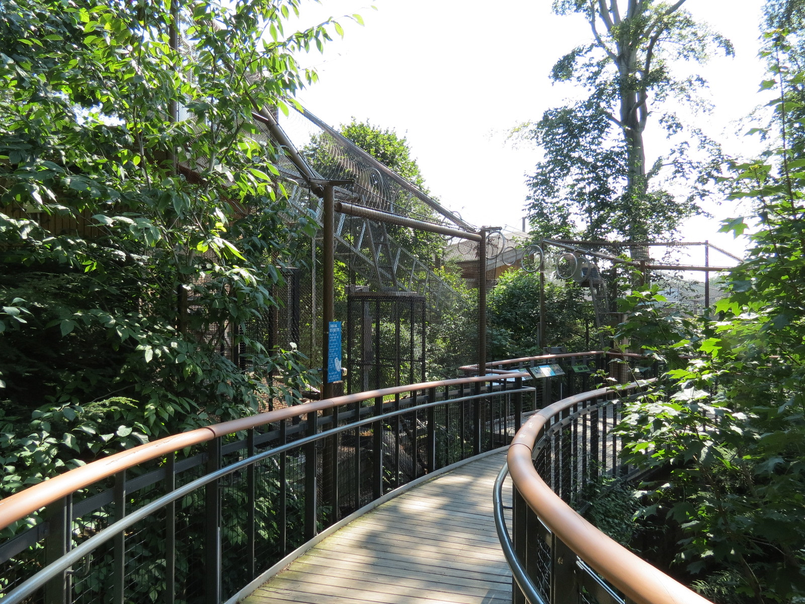 Raccoon Exhibit - Visitor Boardwalk