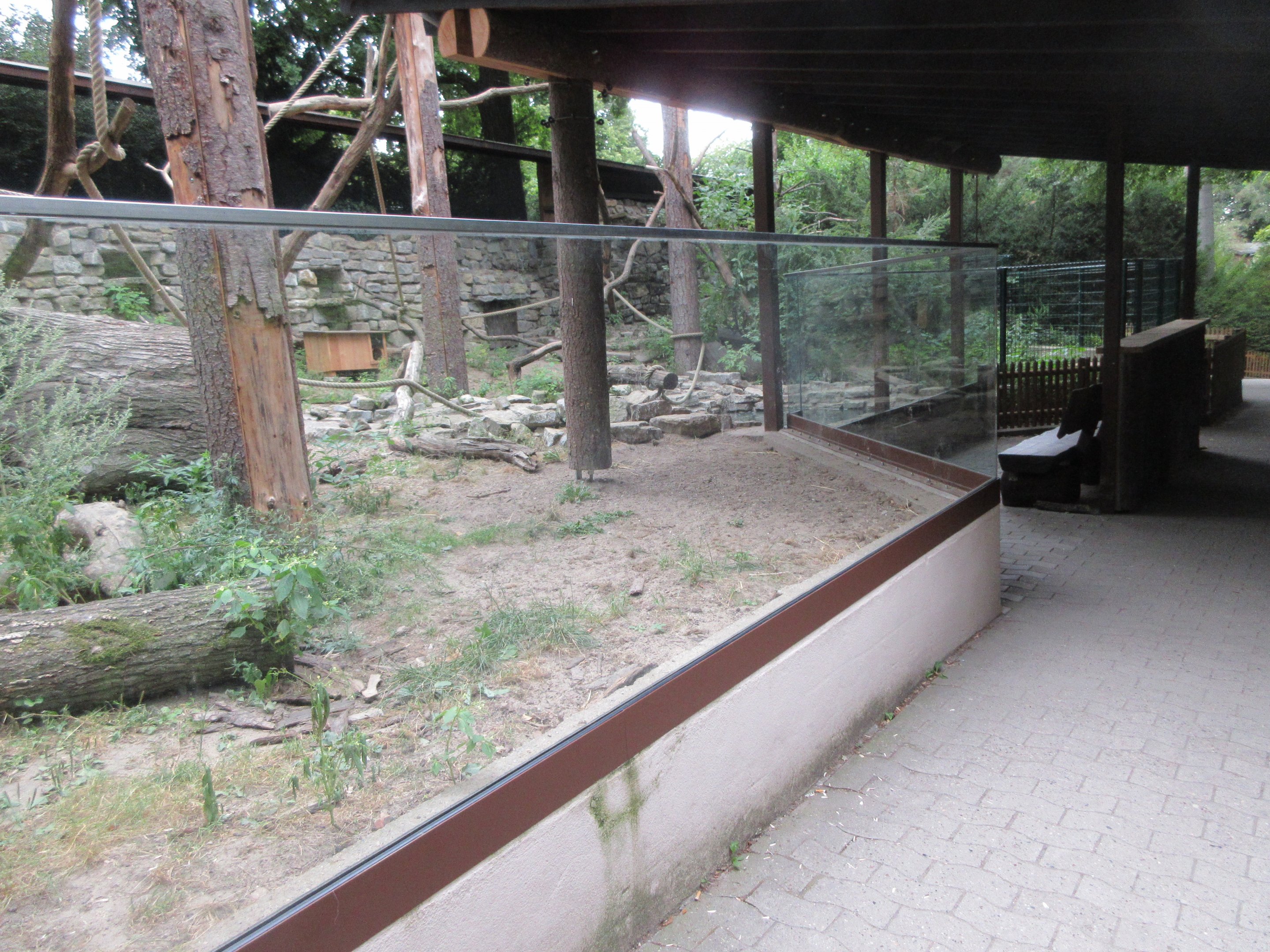 Raccoon Exhibit