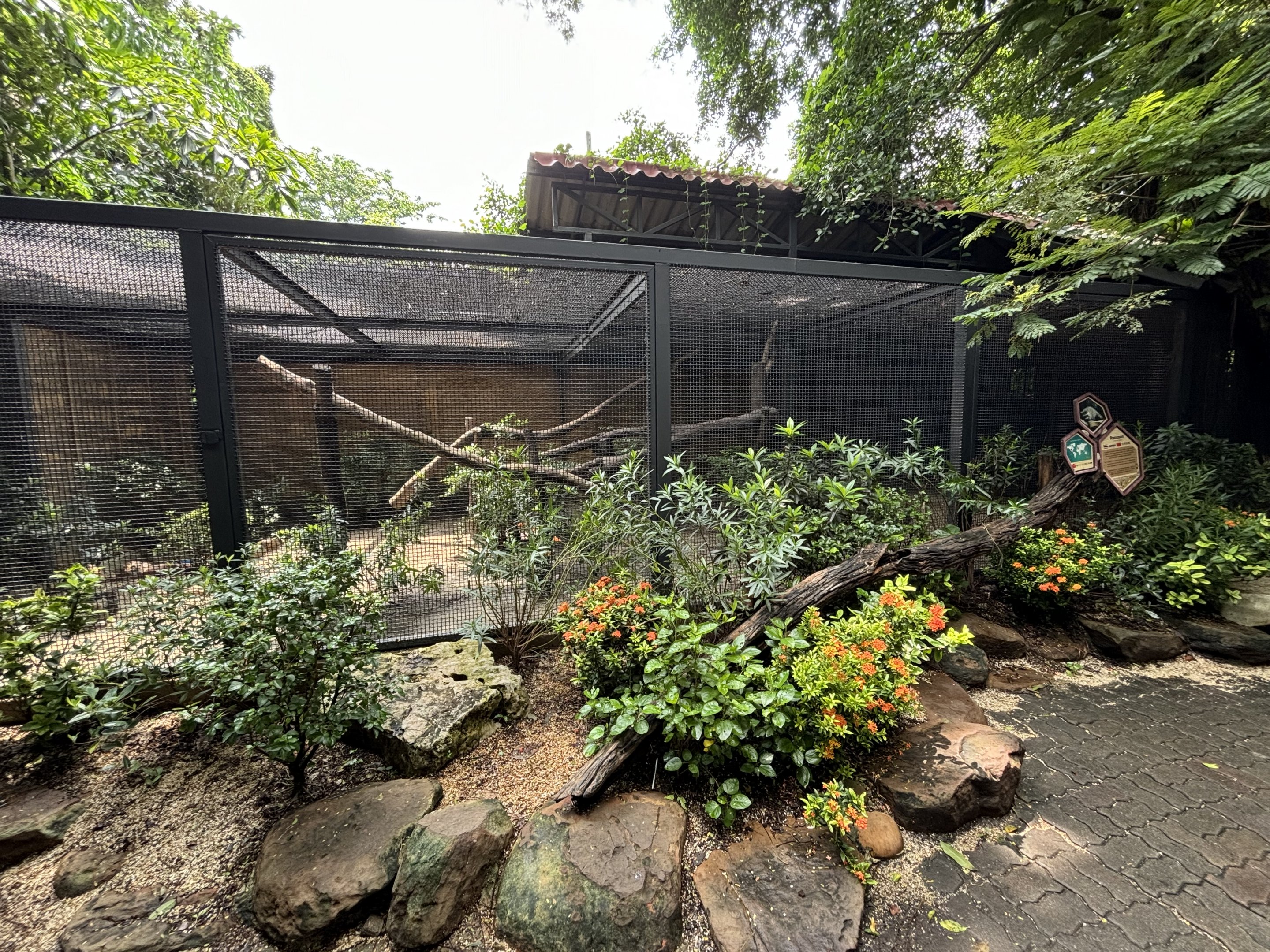 Raccoon Exhibit